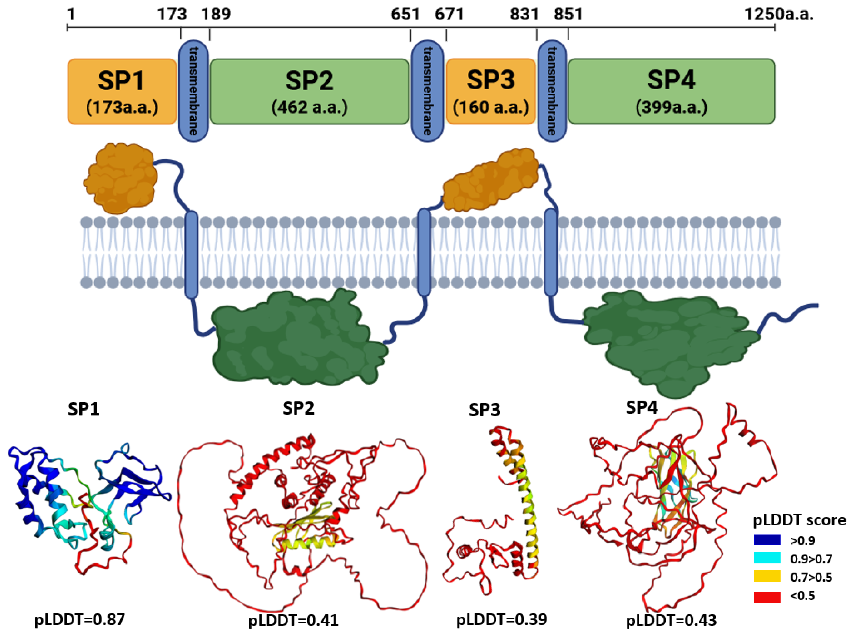 Biomolecules 15 01690 g001