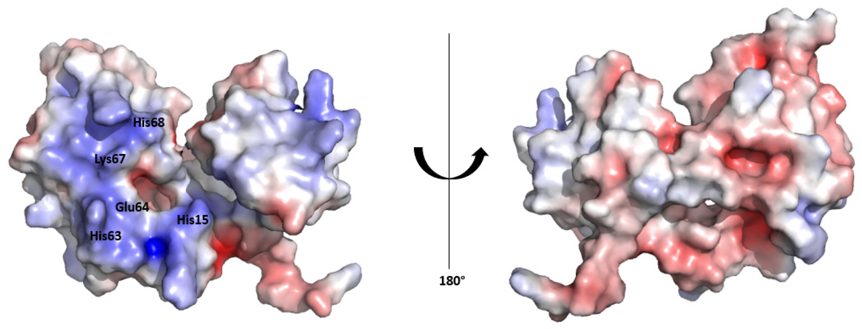 Biomolecules 15 01690 g003