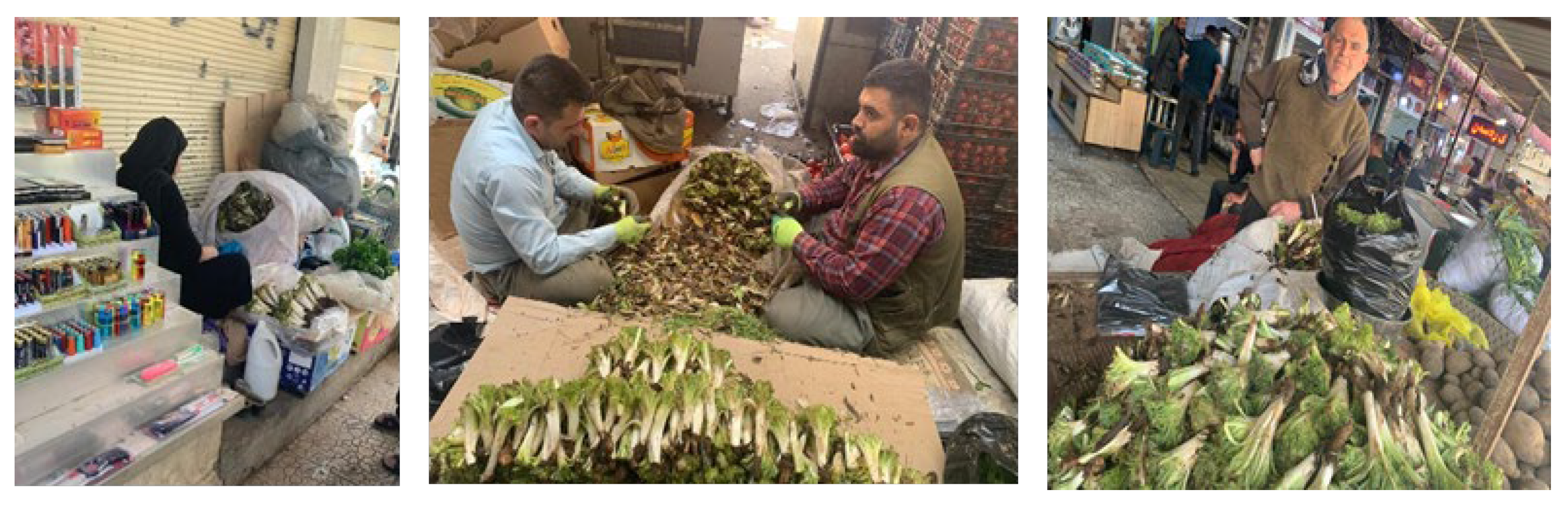 Biomolecules 15 01693 g001 Biomolecules 15 01693 g001