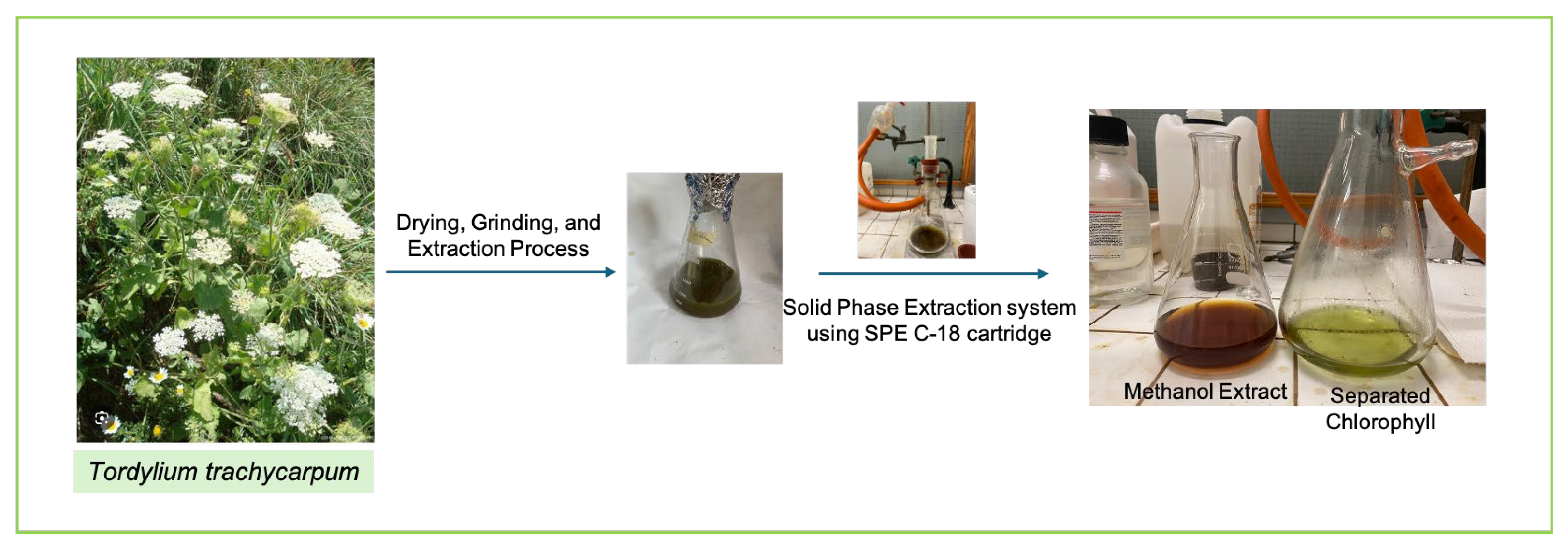Biomolecules 15 01693 g003 Biomolecules 15 01693 g003