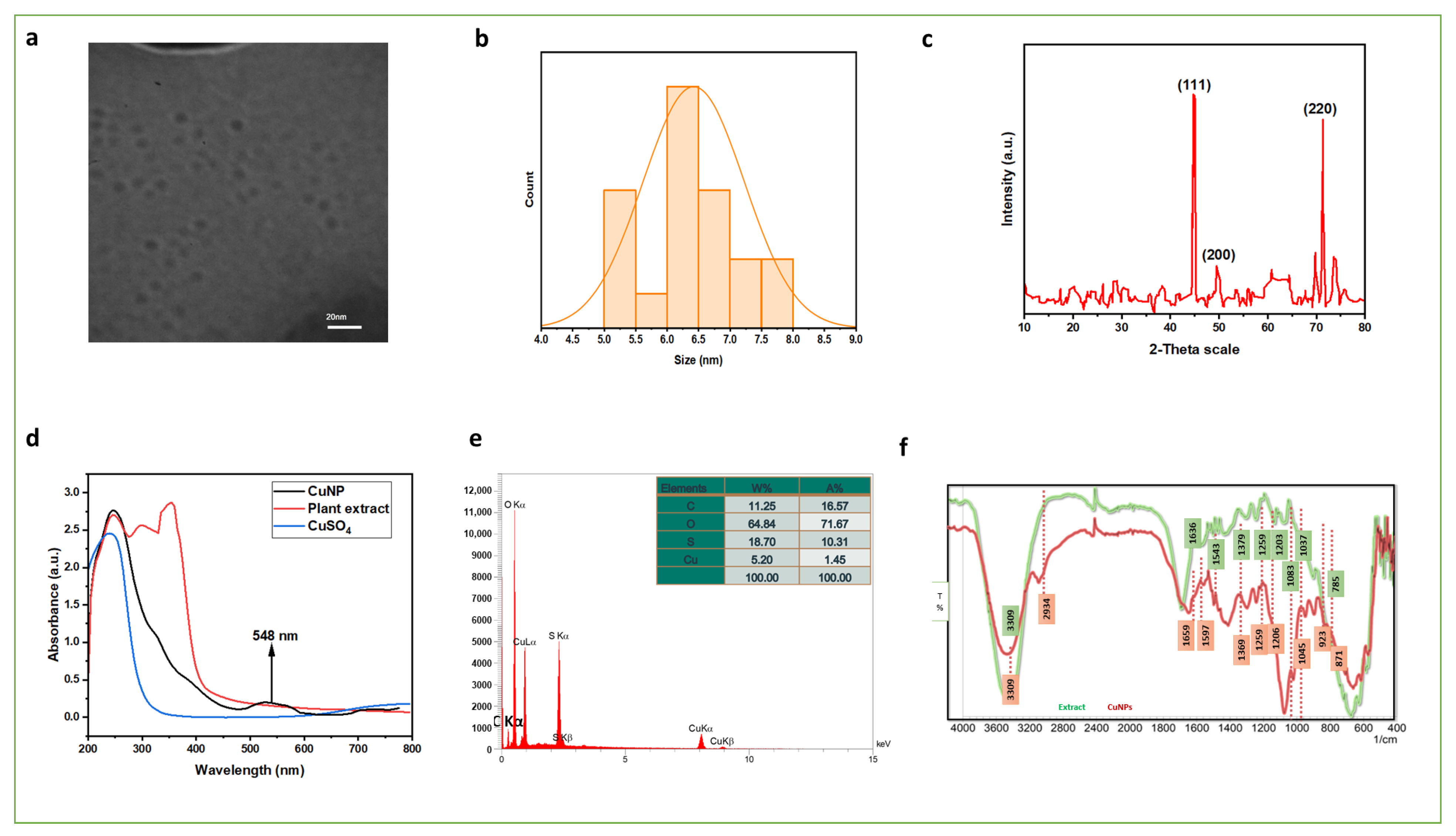 Biomolecules 15 01693 g007 Biomolecules 15 01693 g007