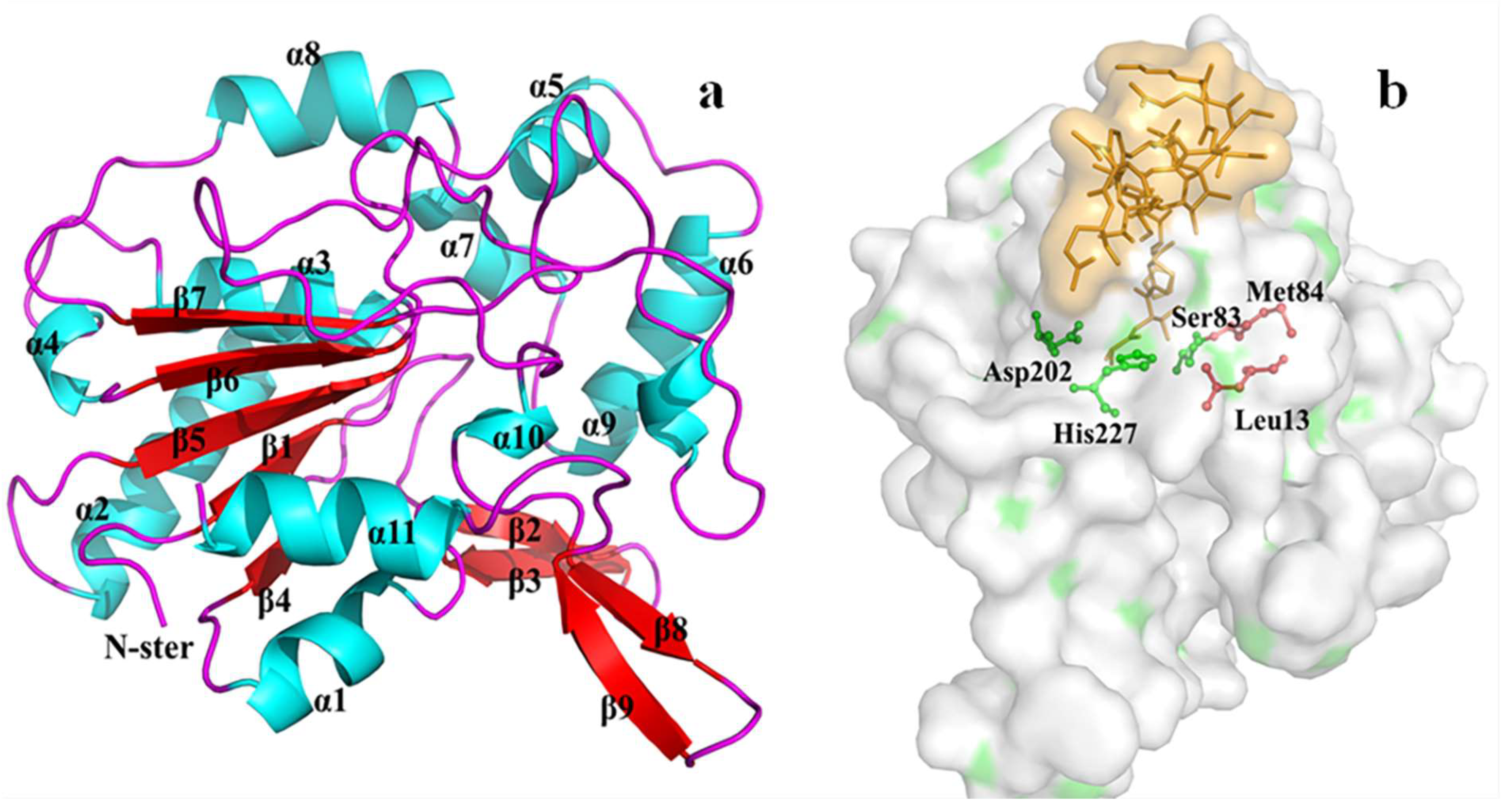 Biomolecules 15 01695 g007