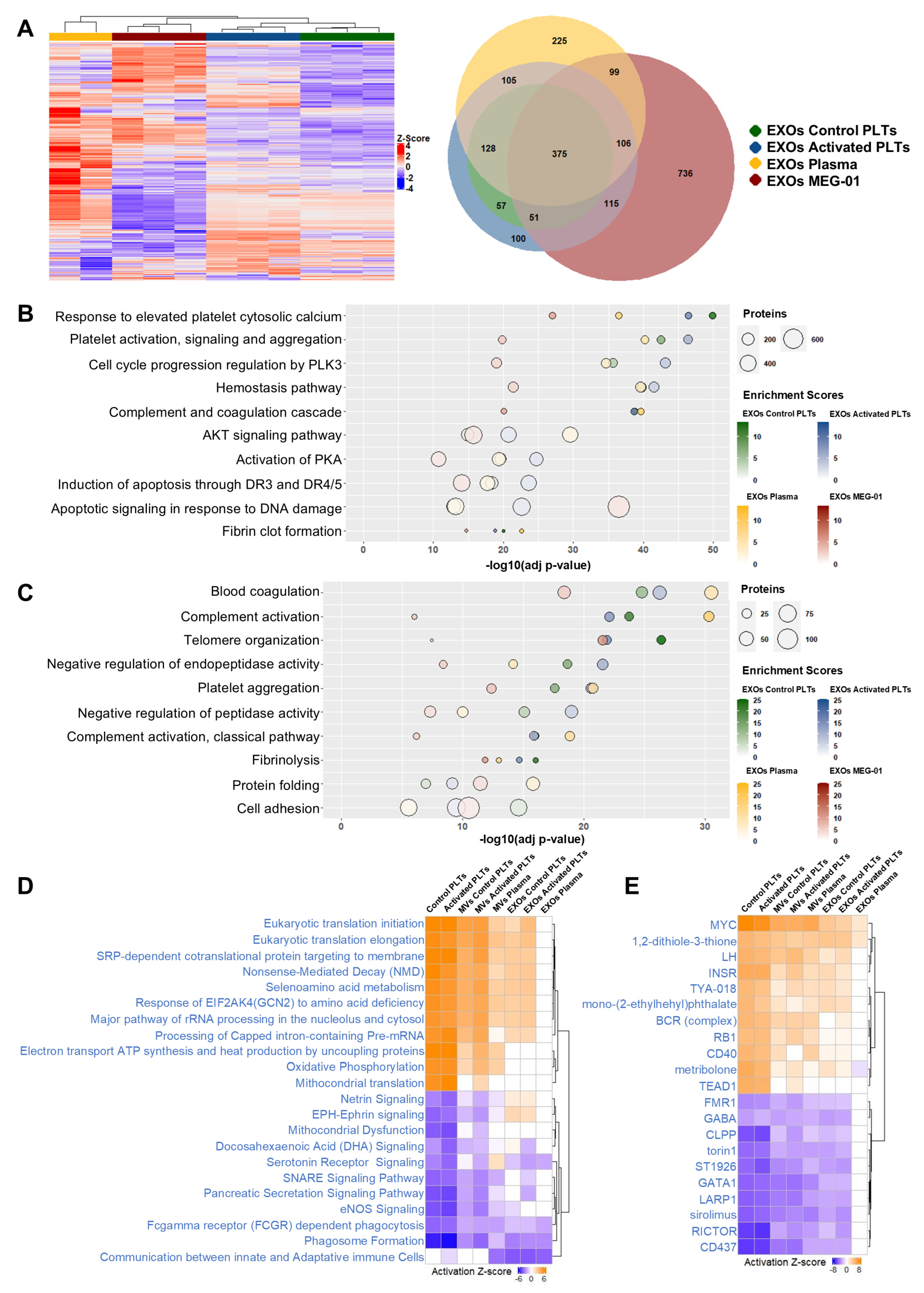 Biomolecules 15 01698 g007
