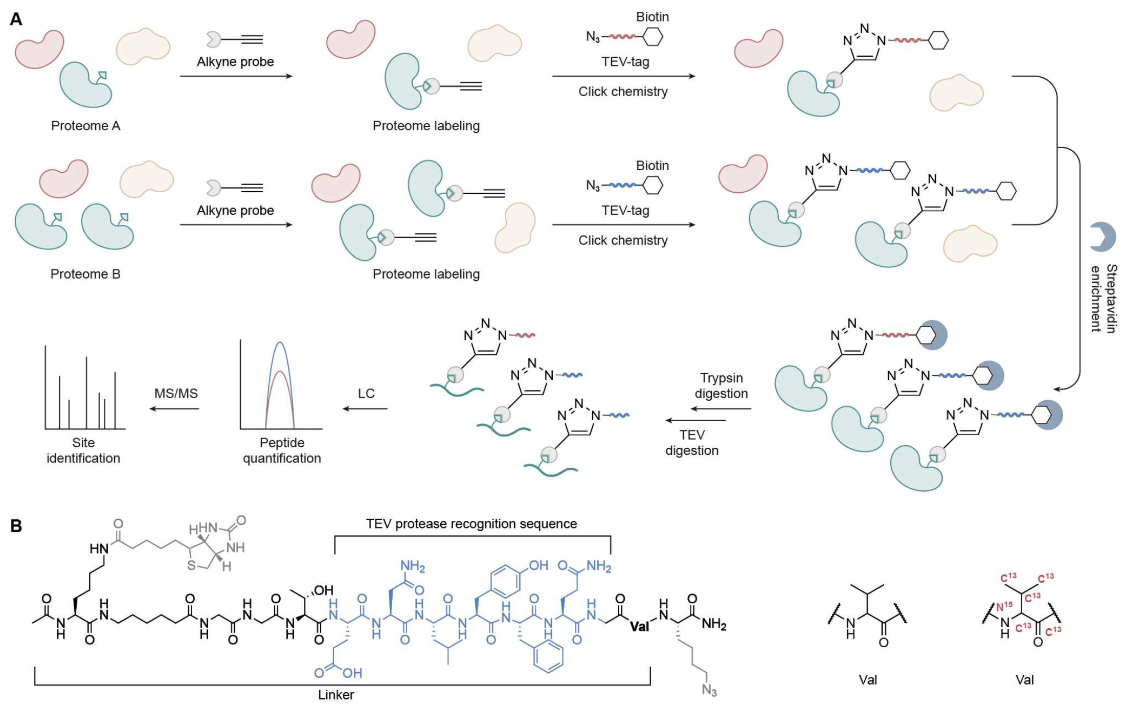 Biomolecules 15 01699 g003