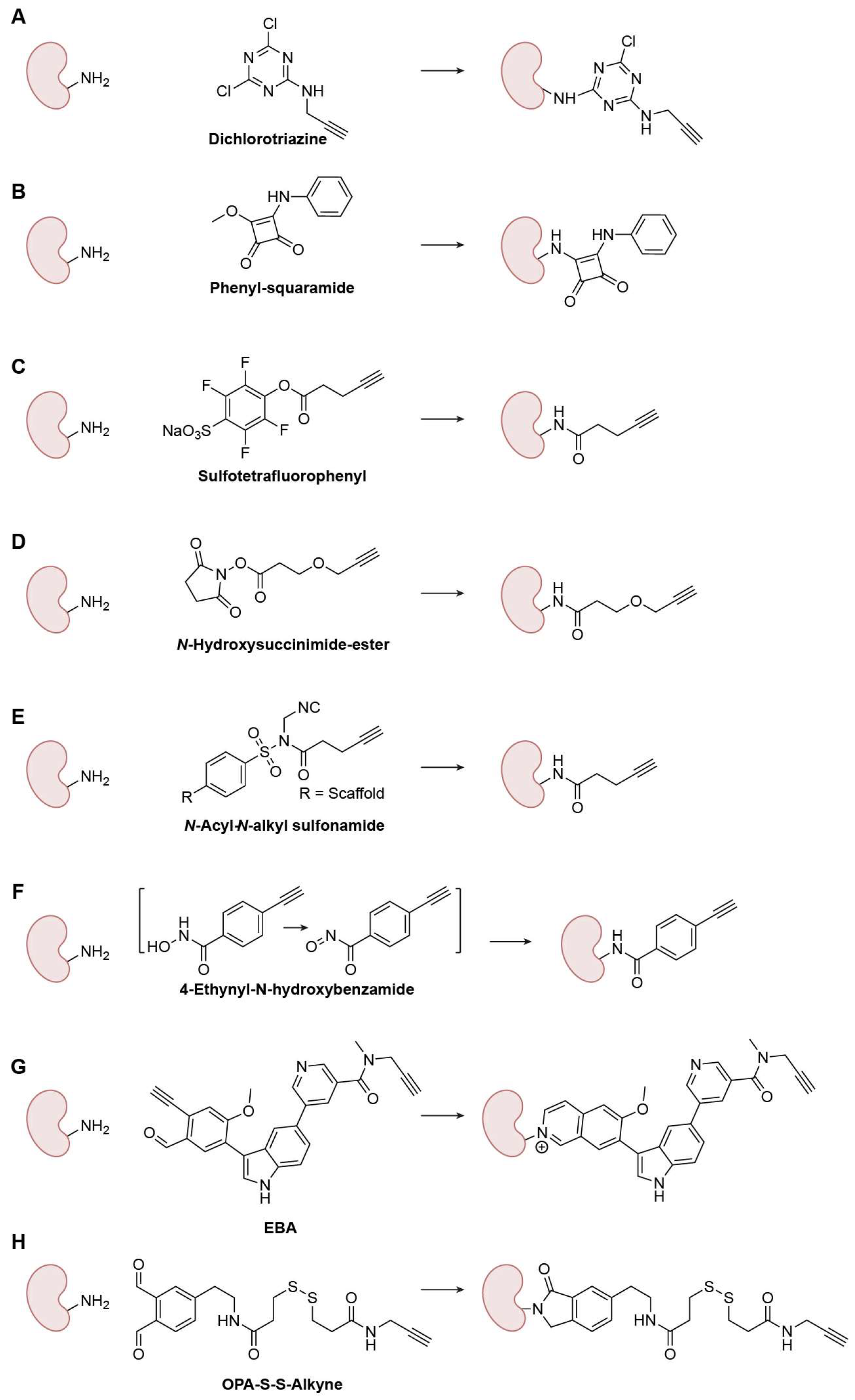 Biomolecules 15 01699 g005