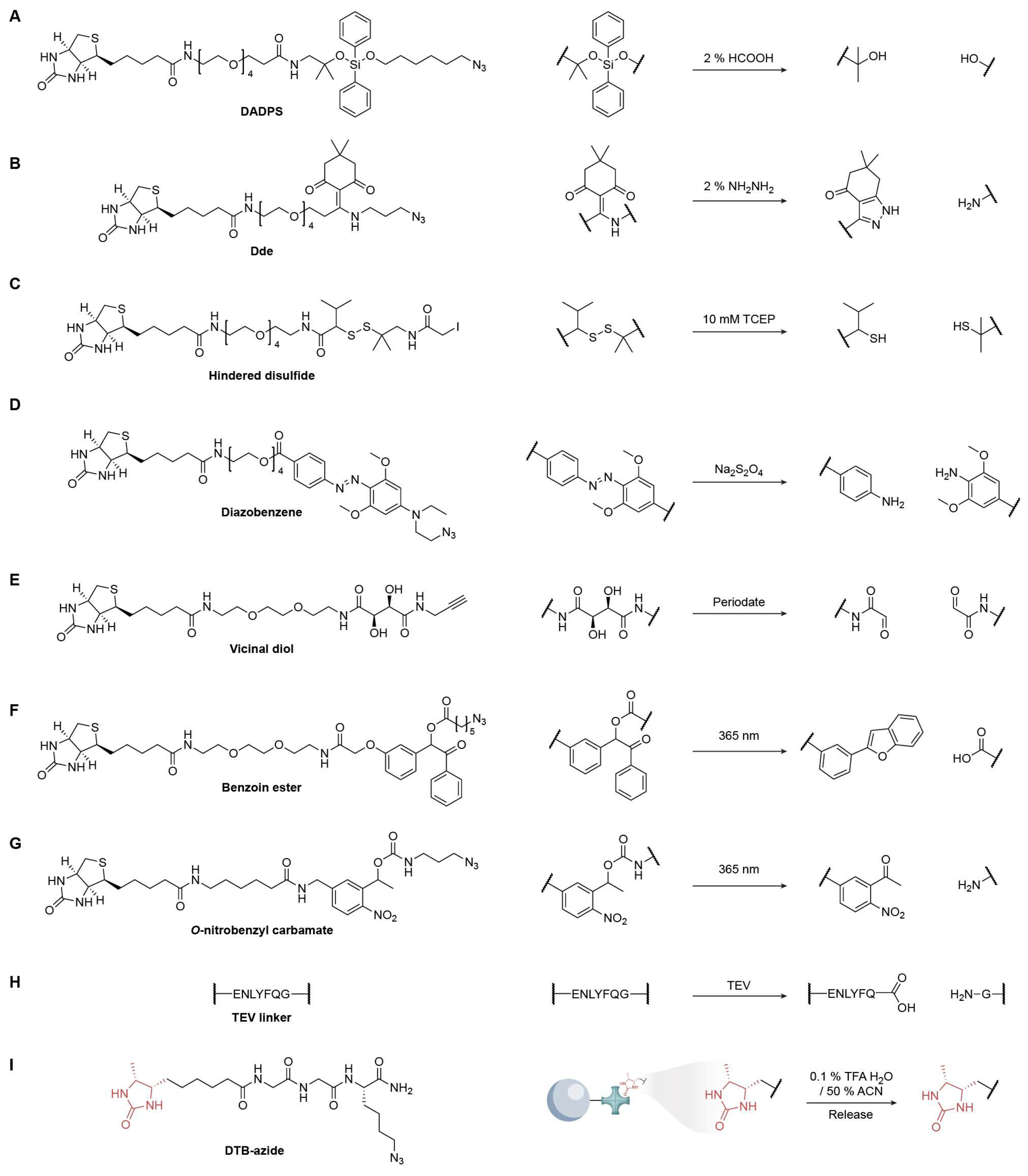Biomolecules 15 01699 g010