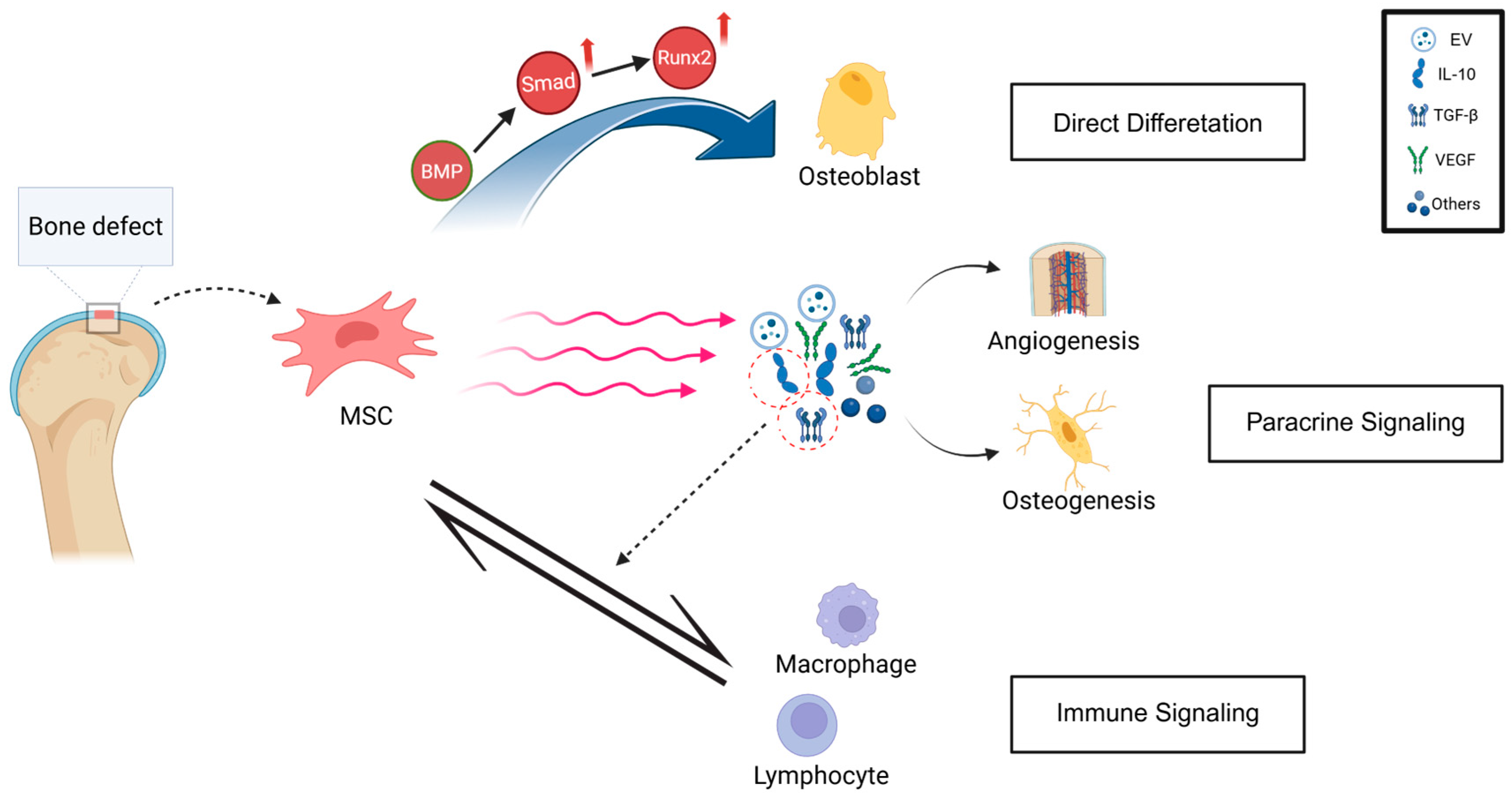Biomolecules 15 01700 g001