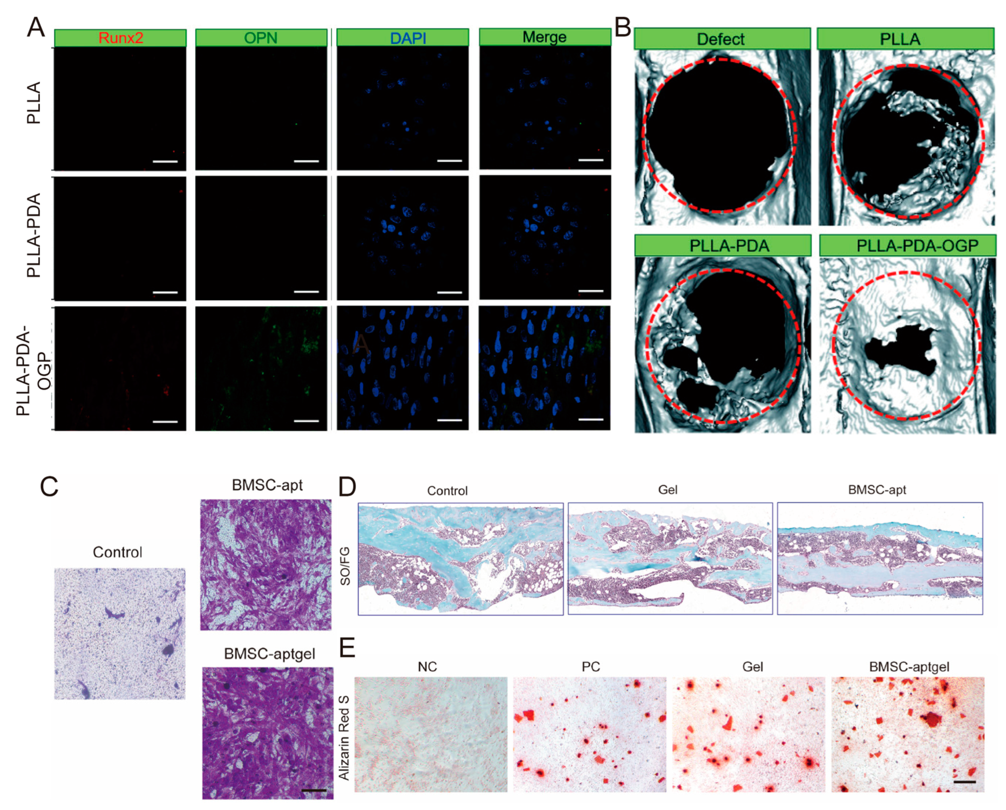 Biomolecules 15 01700 g003