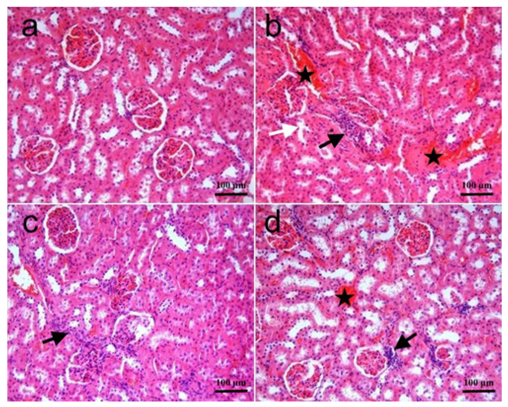 Biomolecules 15 01702 g001