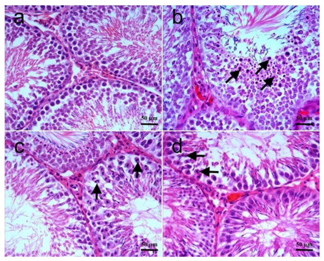 Biomolecules 15 01702 g002