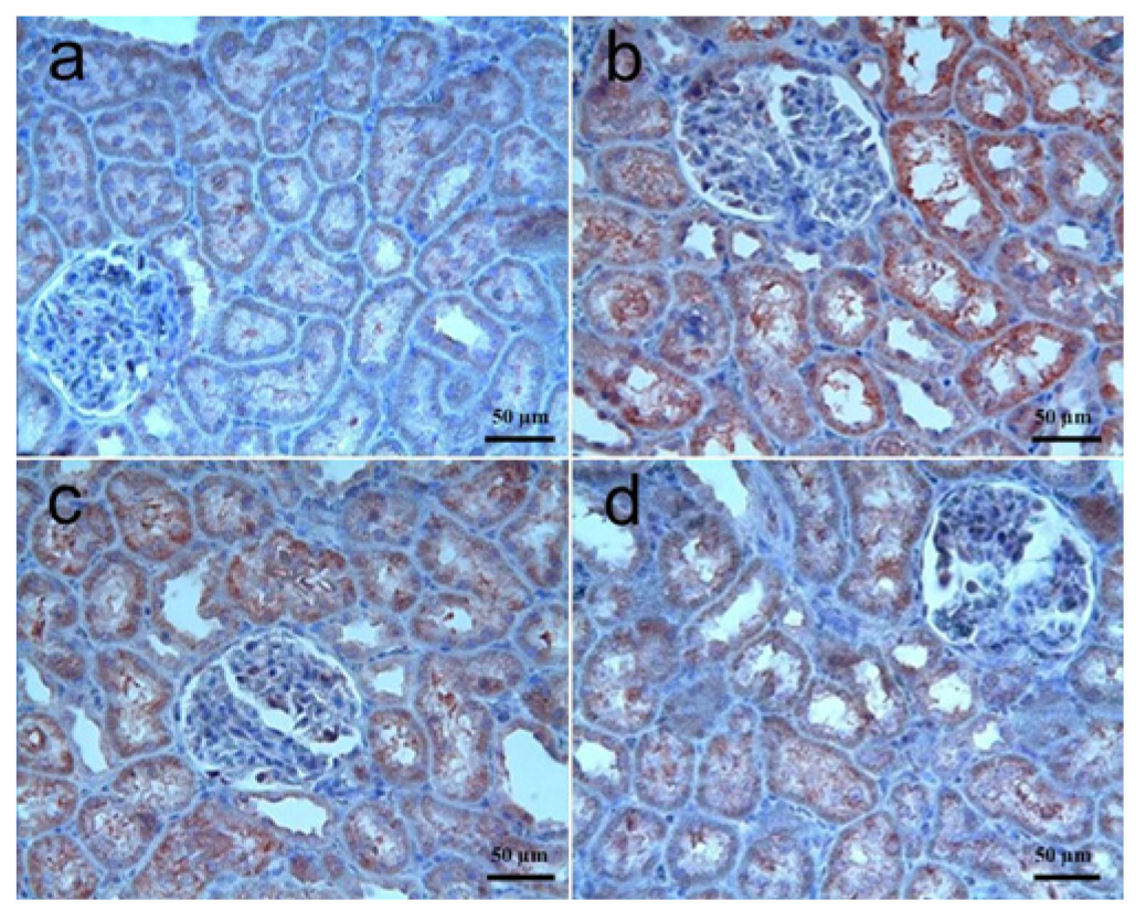 Biomolecules 15 01702 g003