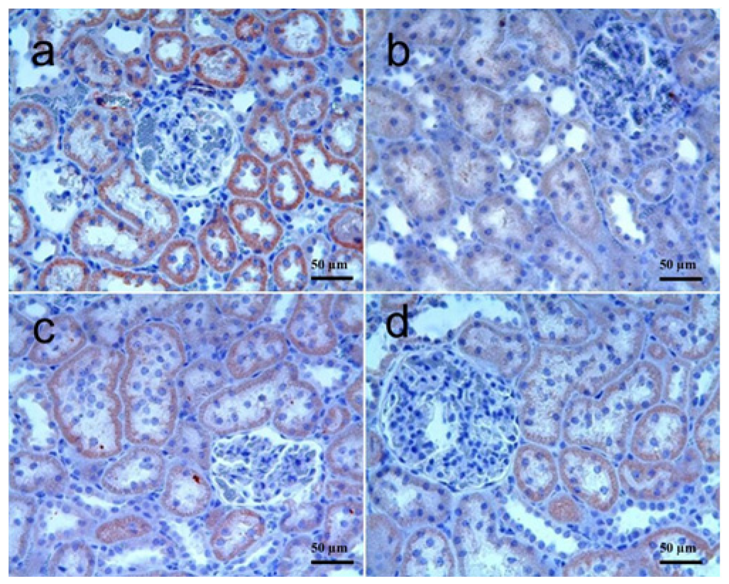 Biomolecules 15 01702 g005