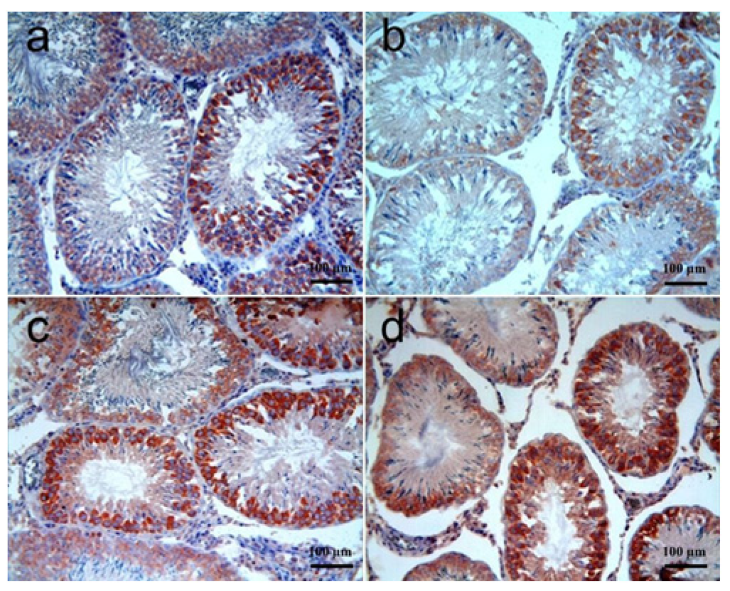 Biomolecules 15 01702 g006