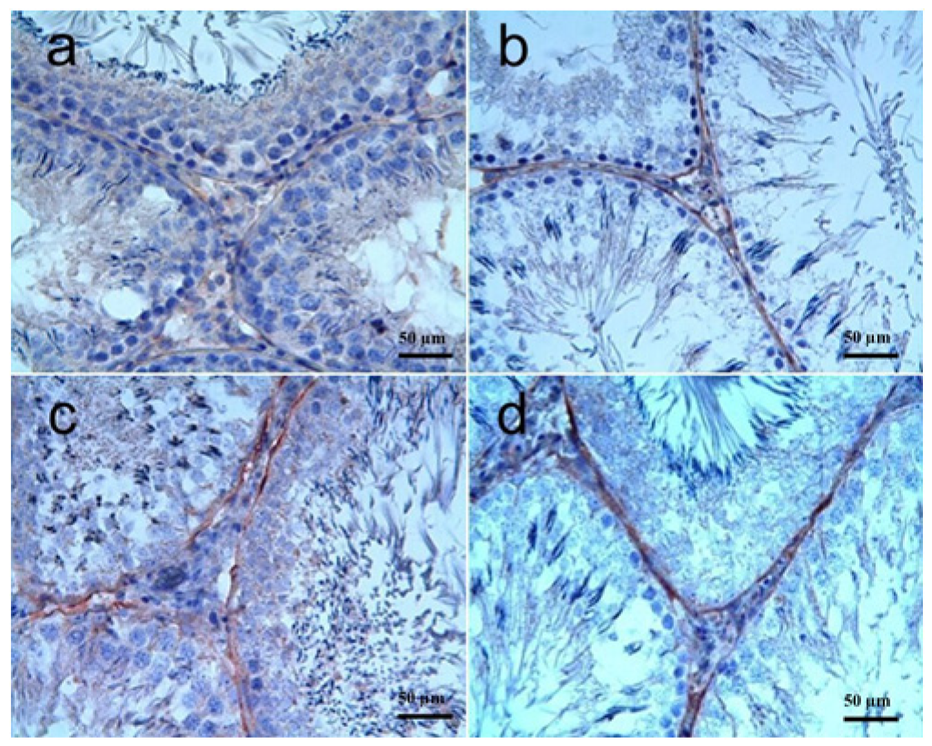 Biomolecules 15 01702 g007