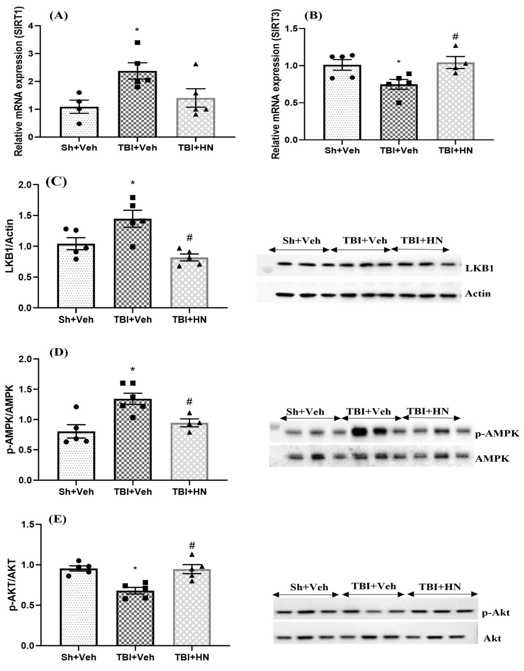 Biomolecules 15 01705 g003 Biomolecules 15 01705 g003