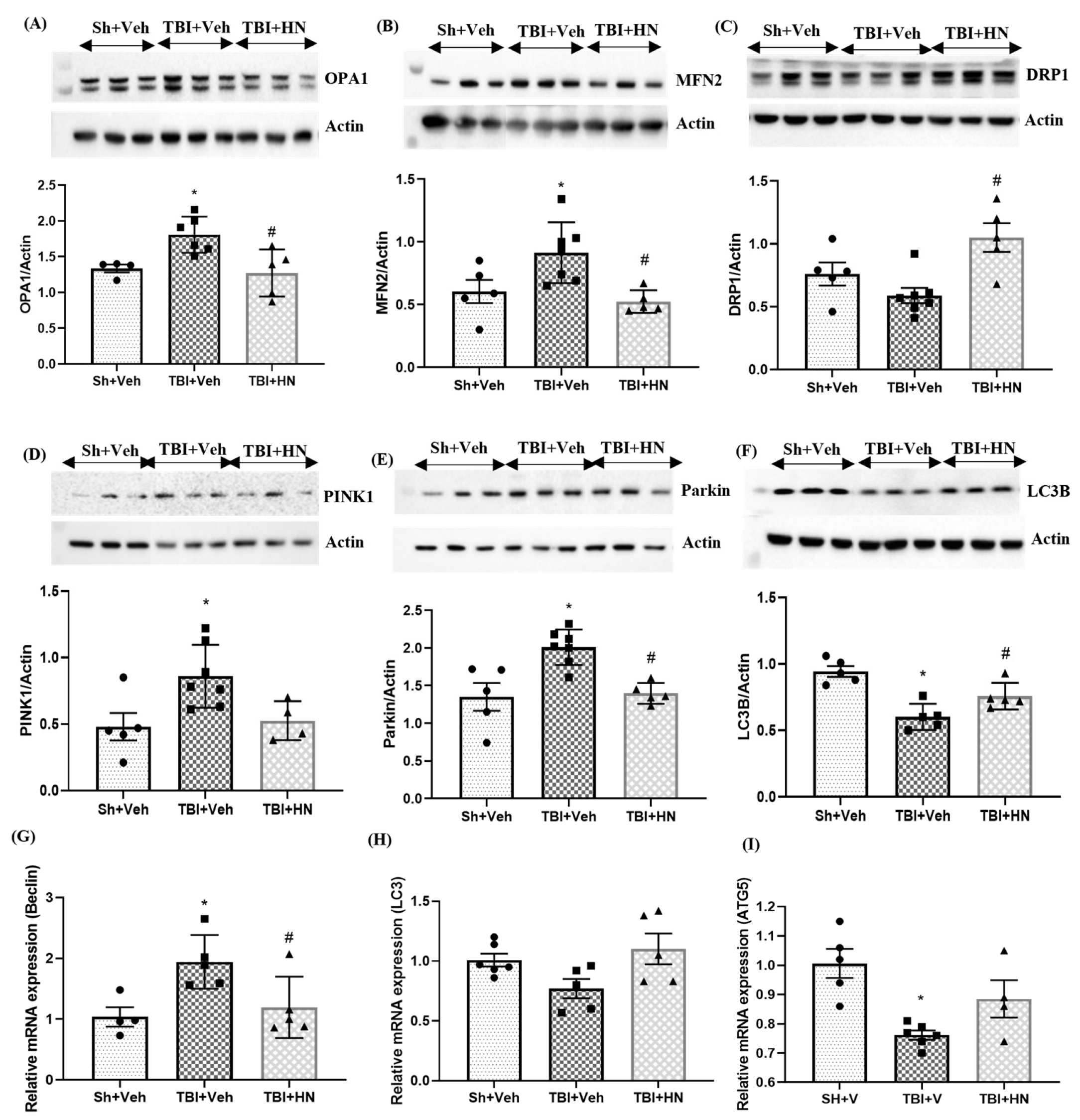 Biomolecules 15 01705 g005 Biomolecules 15 01705 g005