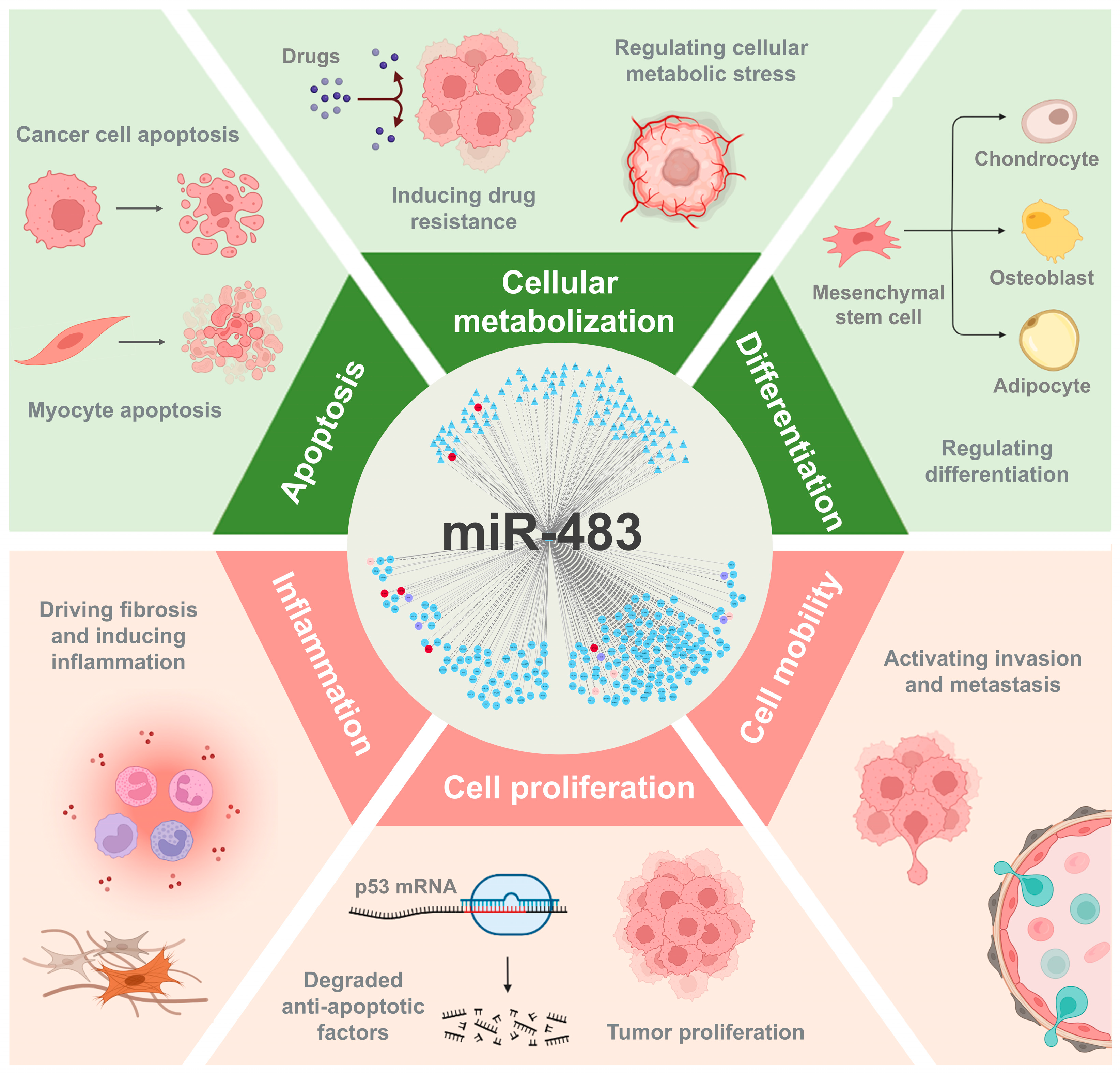 Biomolecules 15 01707 g001 Biomolecules 15 01707 g001