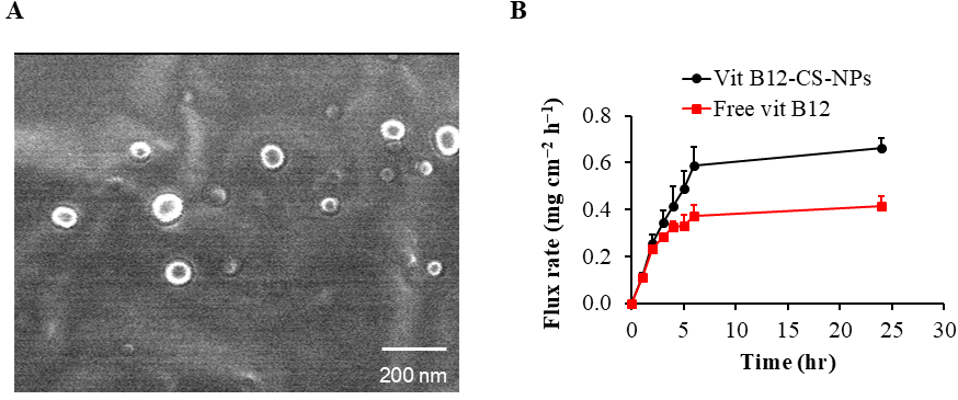 Biomolecules 15 01709 g002 Biomolecules 15 01709 g002