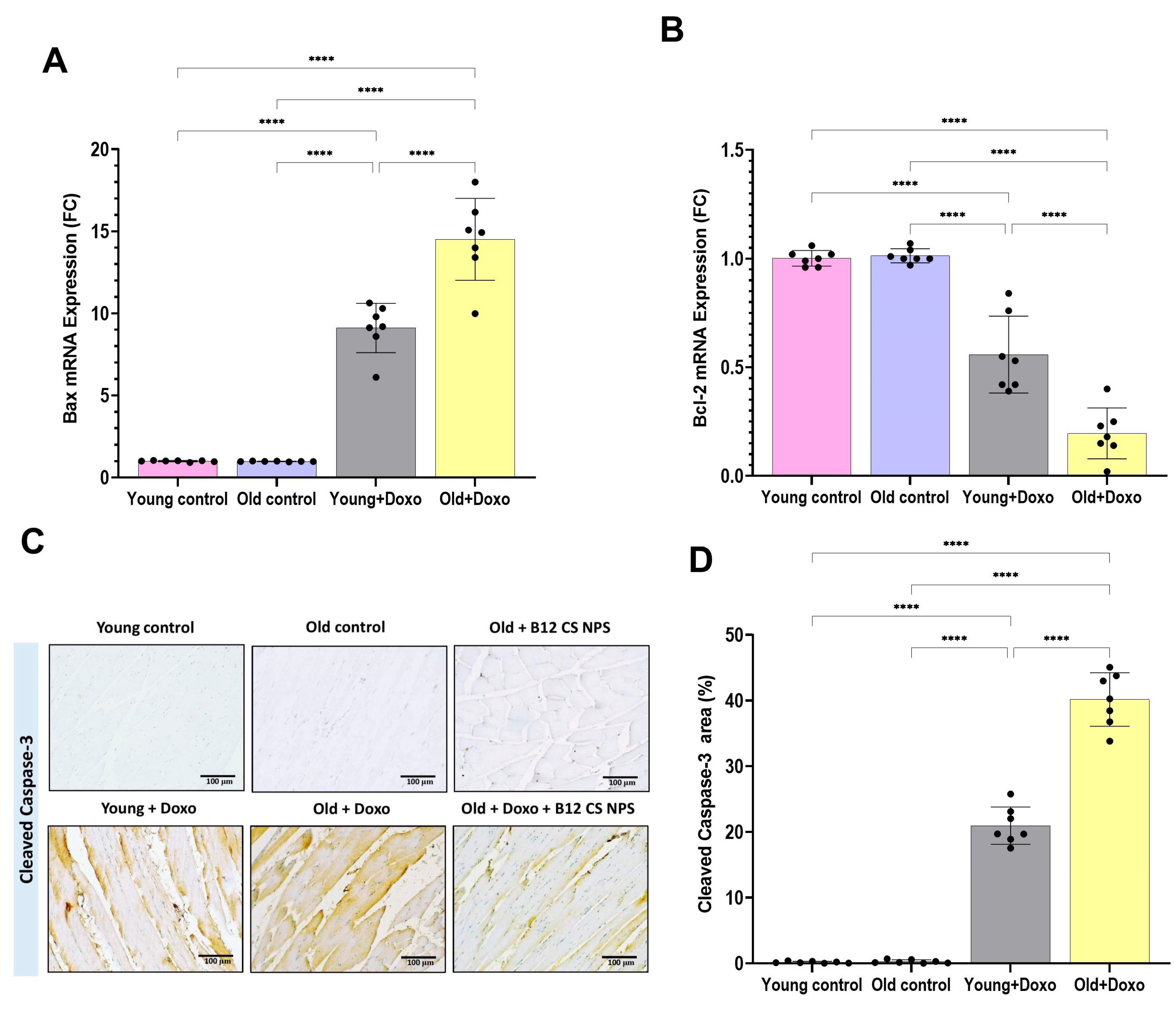 Biomolecules 15 01709 g003 Biomolecules 15 01709 g003