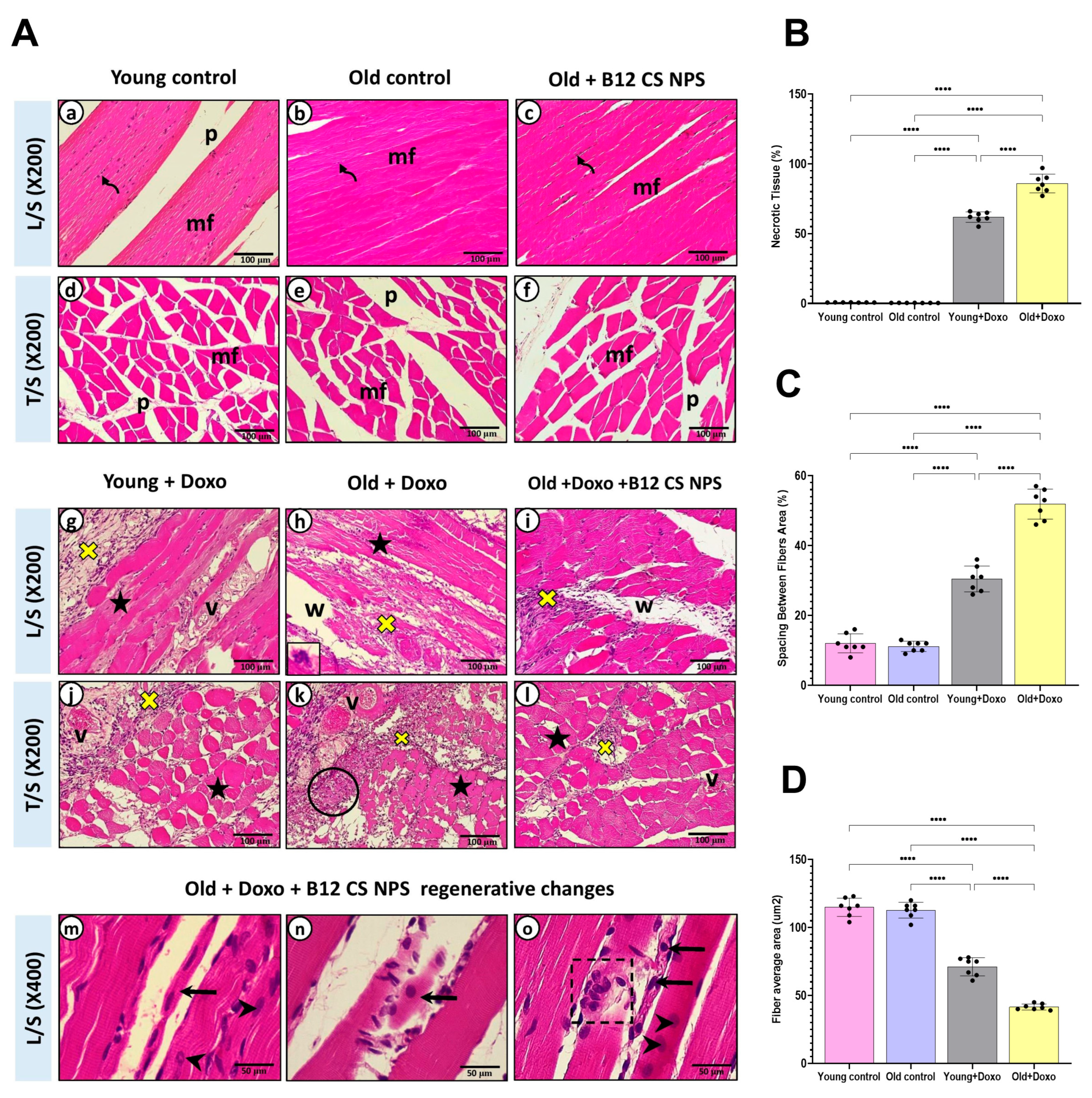Biomolecules 15 01709 g004 Biomolecules 15 01709 g004