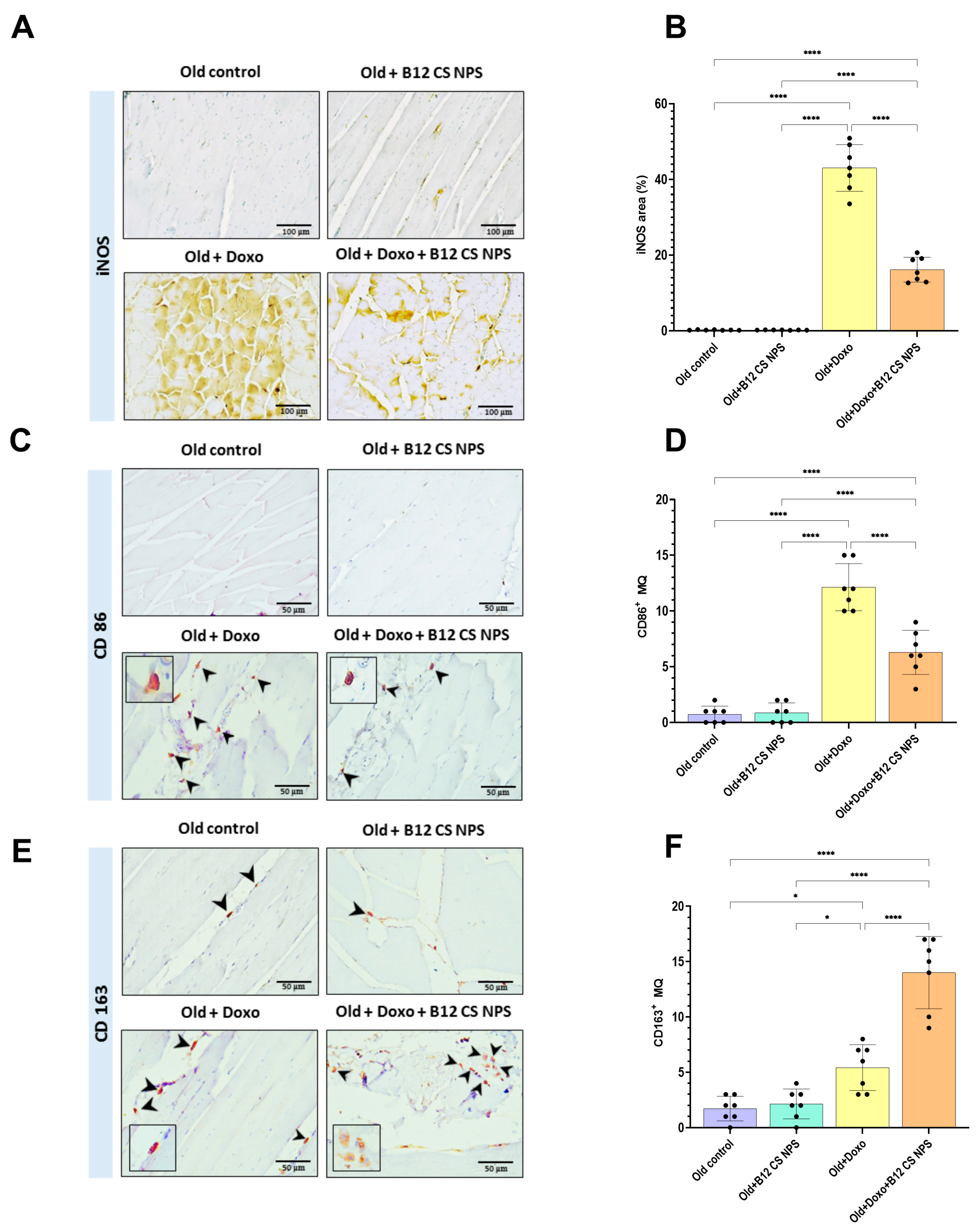 Biomolecules 15 01709 g011 Biomolecules 15 01709 g011