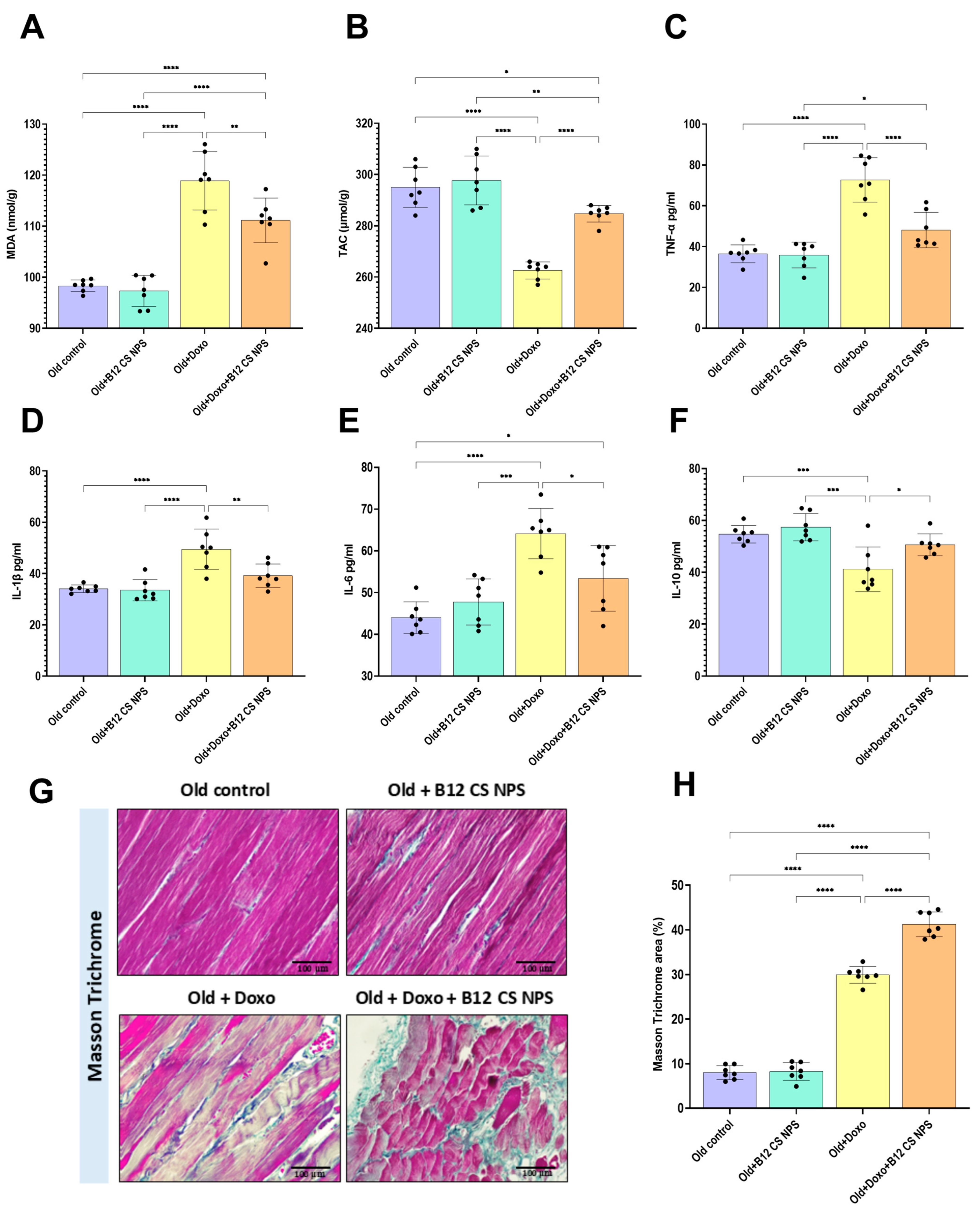 Biomolecules 15 01709 g012 Biomolecules 15 01709 g012