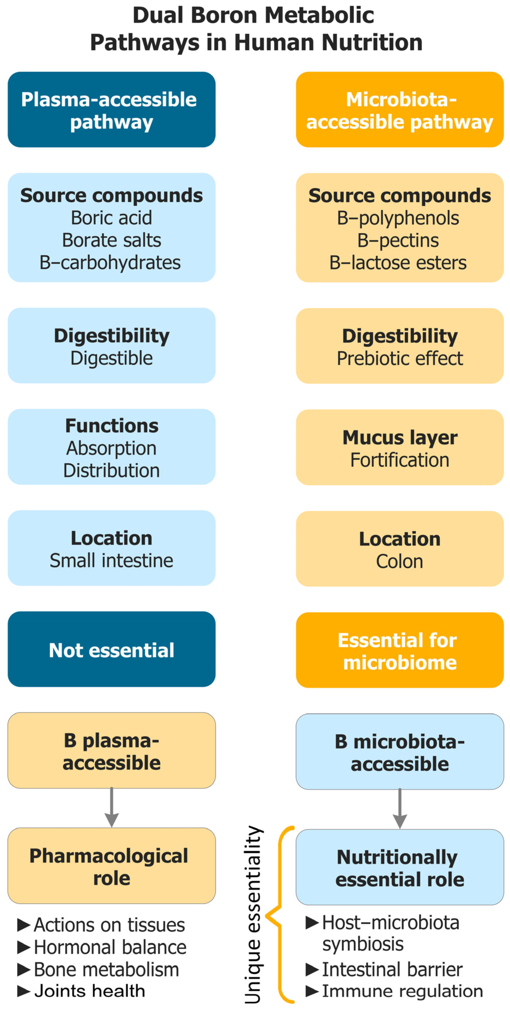 Biomolecules 15 01711 g001