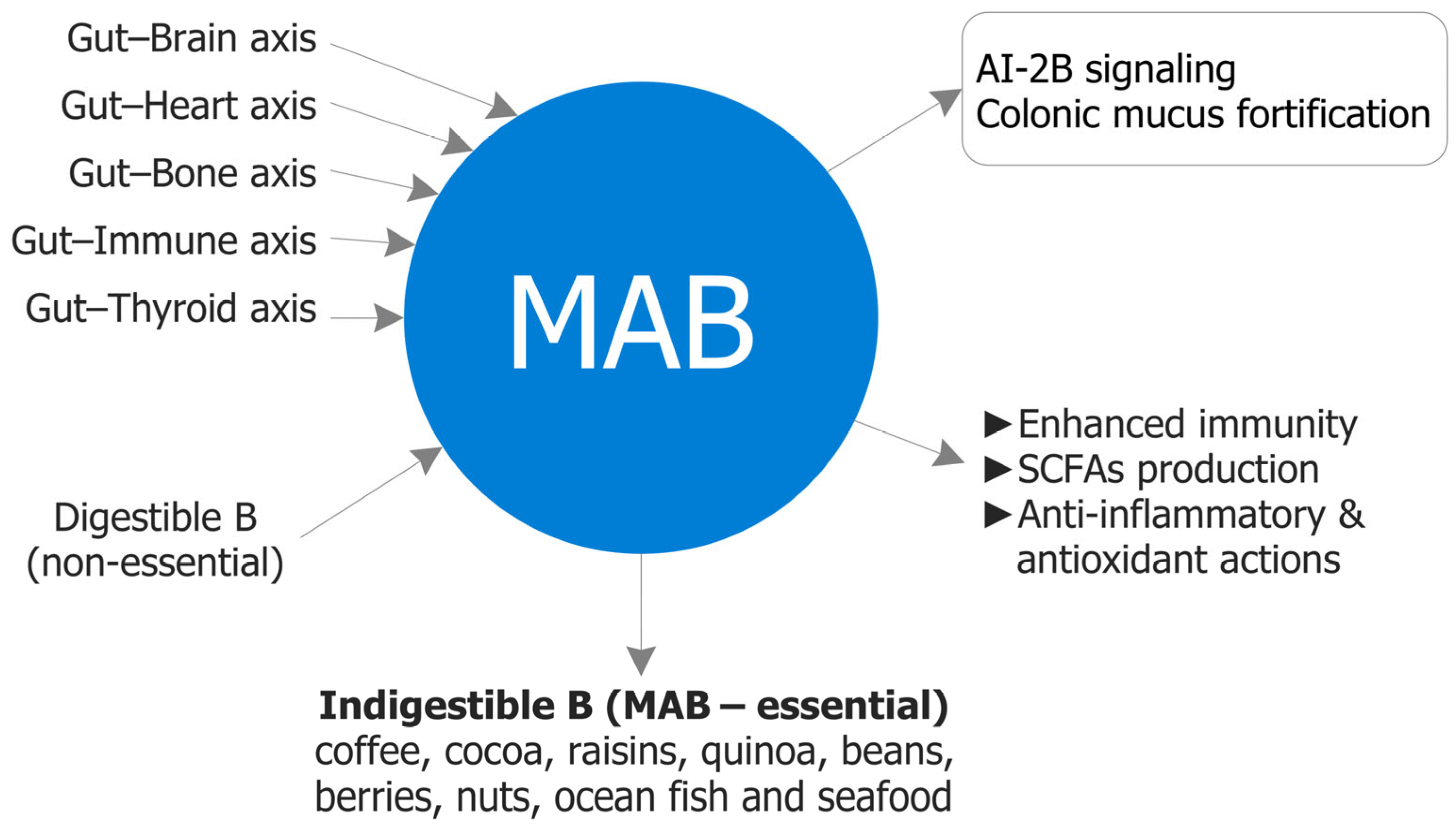 Biomolecules 15 01711 g004