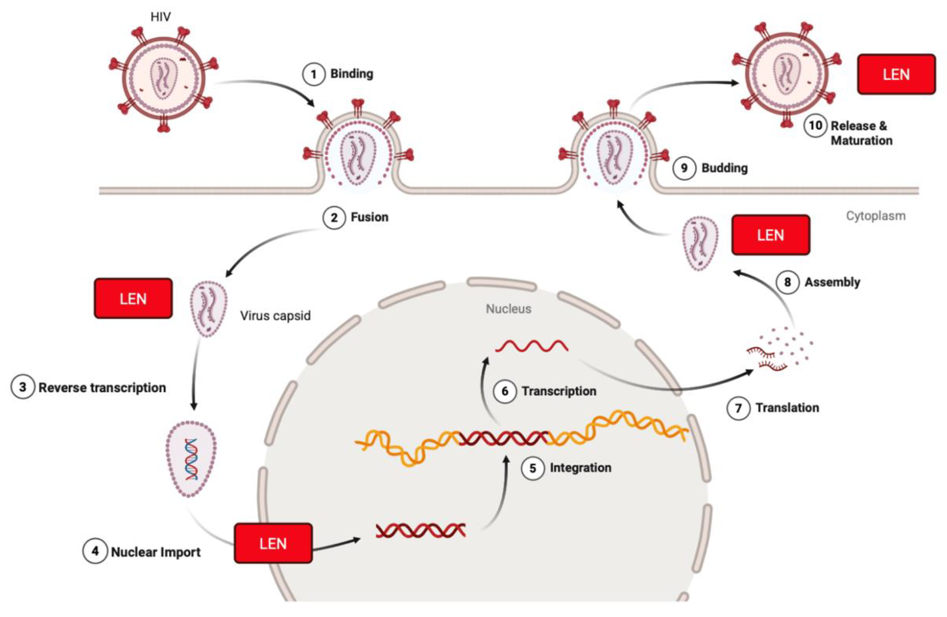 Biomolecules 15 01712 g003 Biomolecules 15 01712 g003