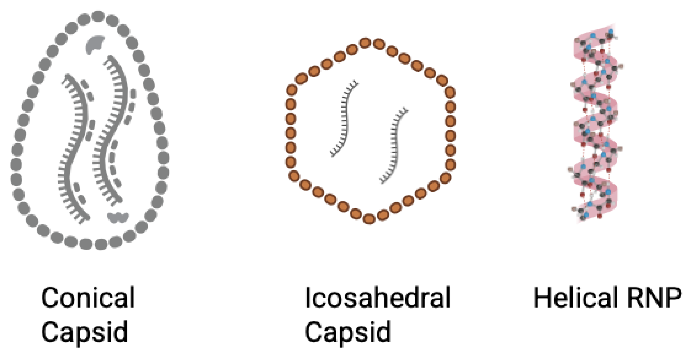 Biomolecules 15 01712 g005 Biomolecules 15 01712 g005