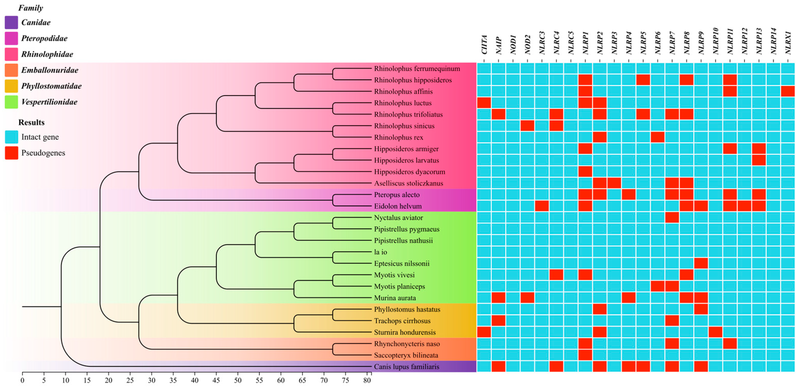 Biomolecules 15 01715 g001 Biomolecules 15 01715 g001