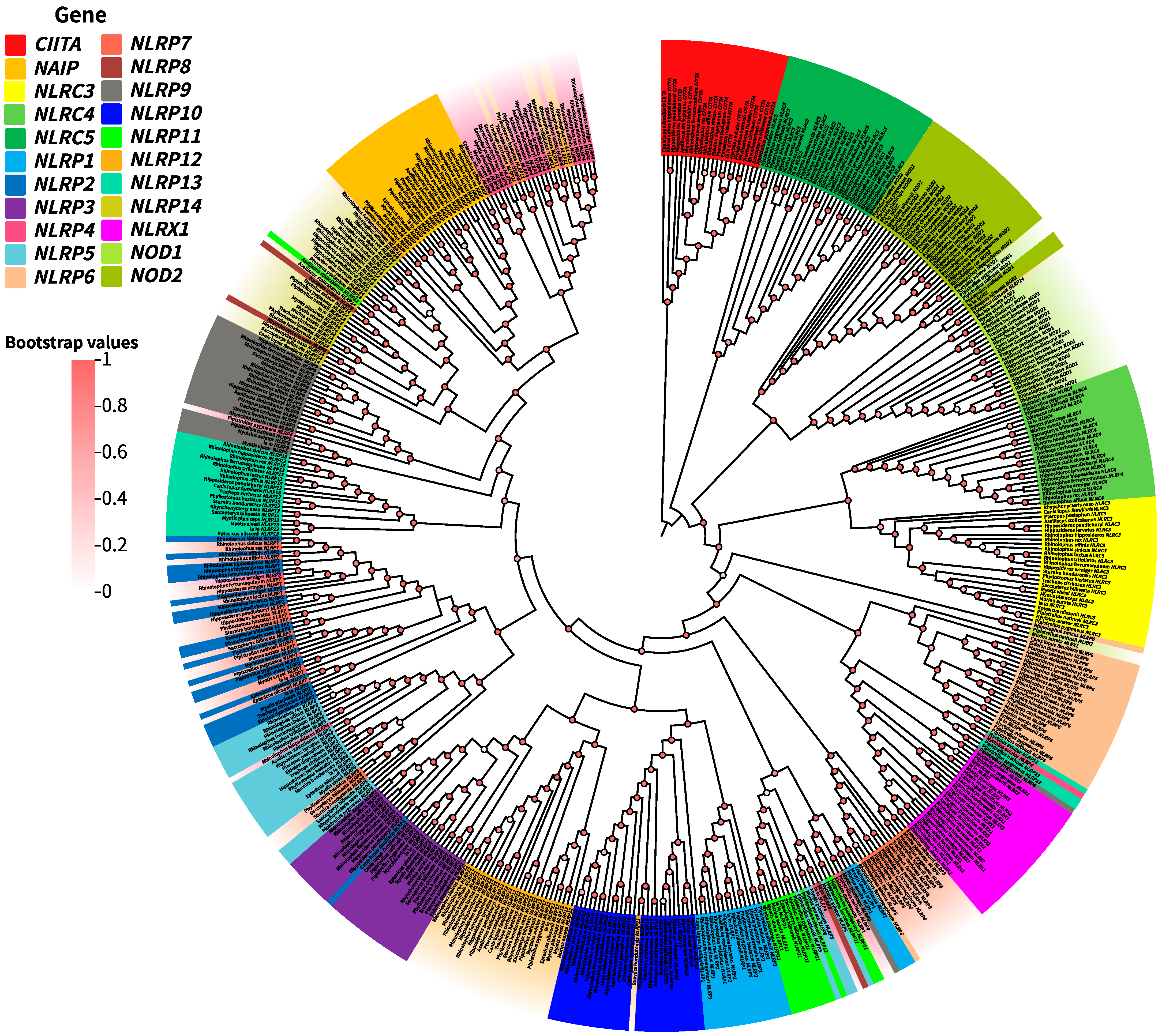 Biomolecules 15 01715 g002 Biomolecules 15 01715 g002