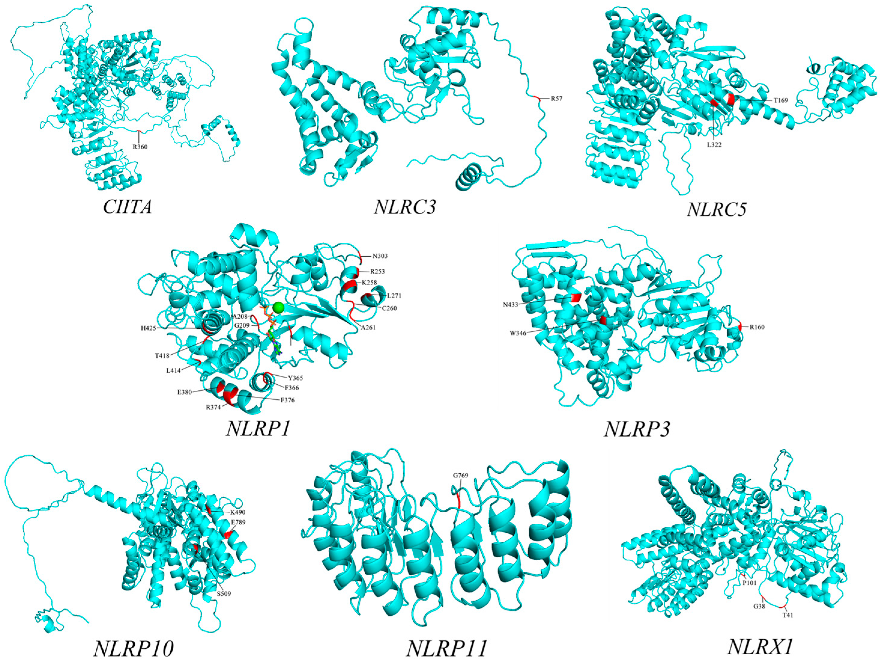 Biomolecules 15 01715 g004 Biomolecules 15 01715 g004