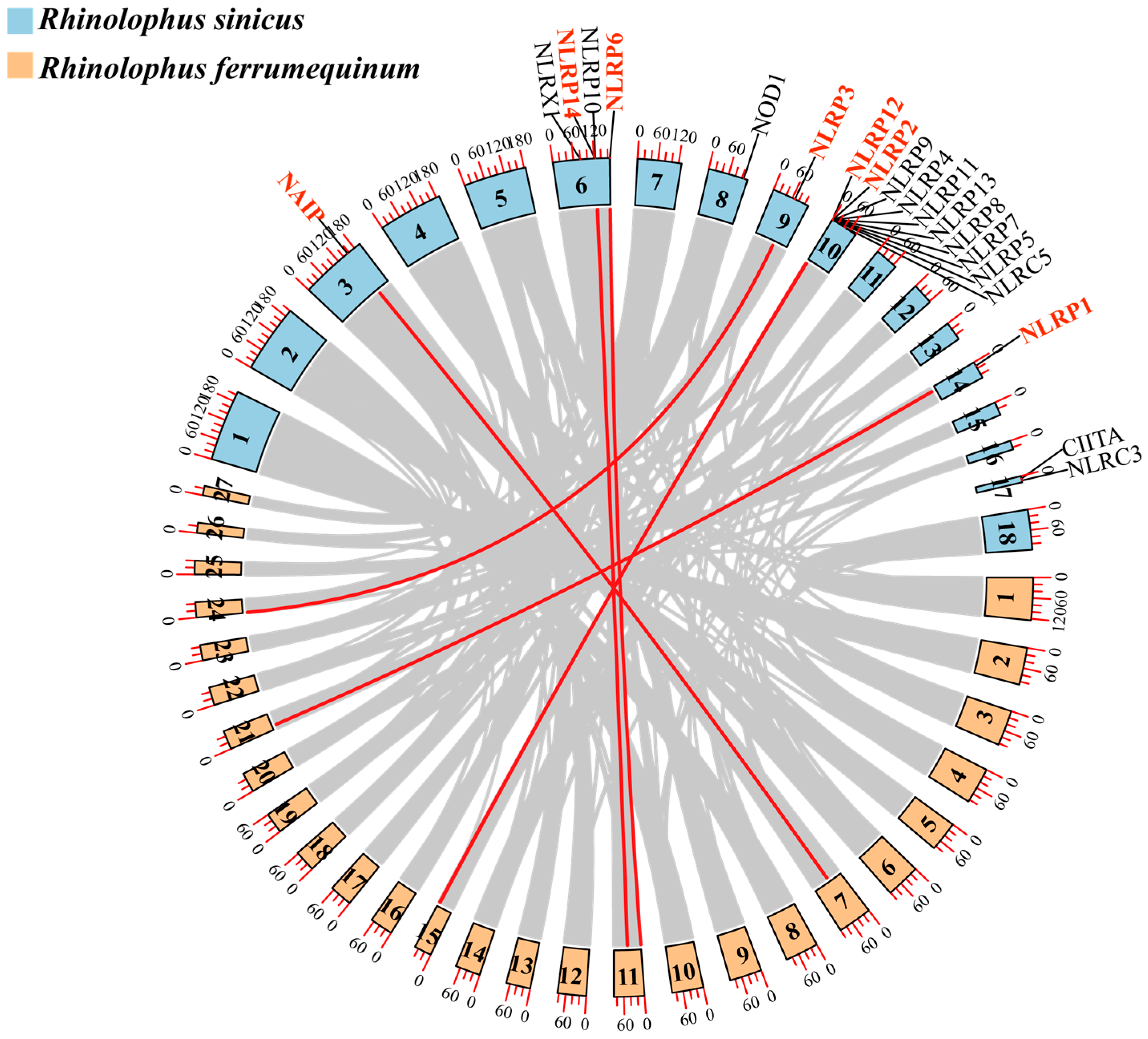 Biomolecules 15 01715 g005 Biomolecules 15 01715 g005