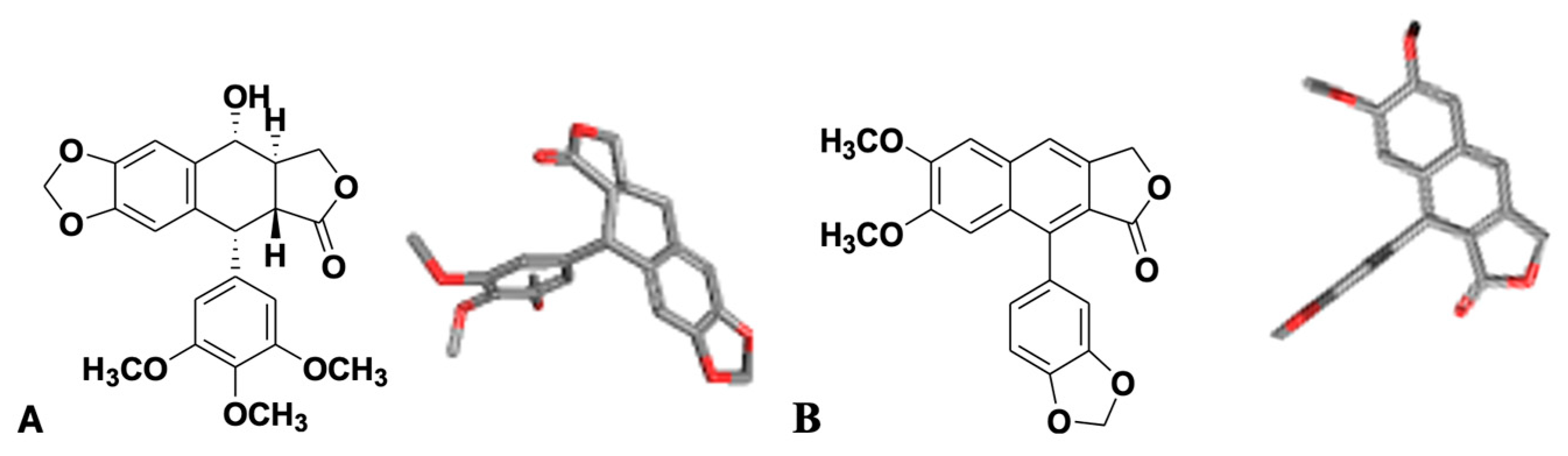 Biomolecules 15 01718 g001