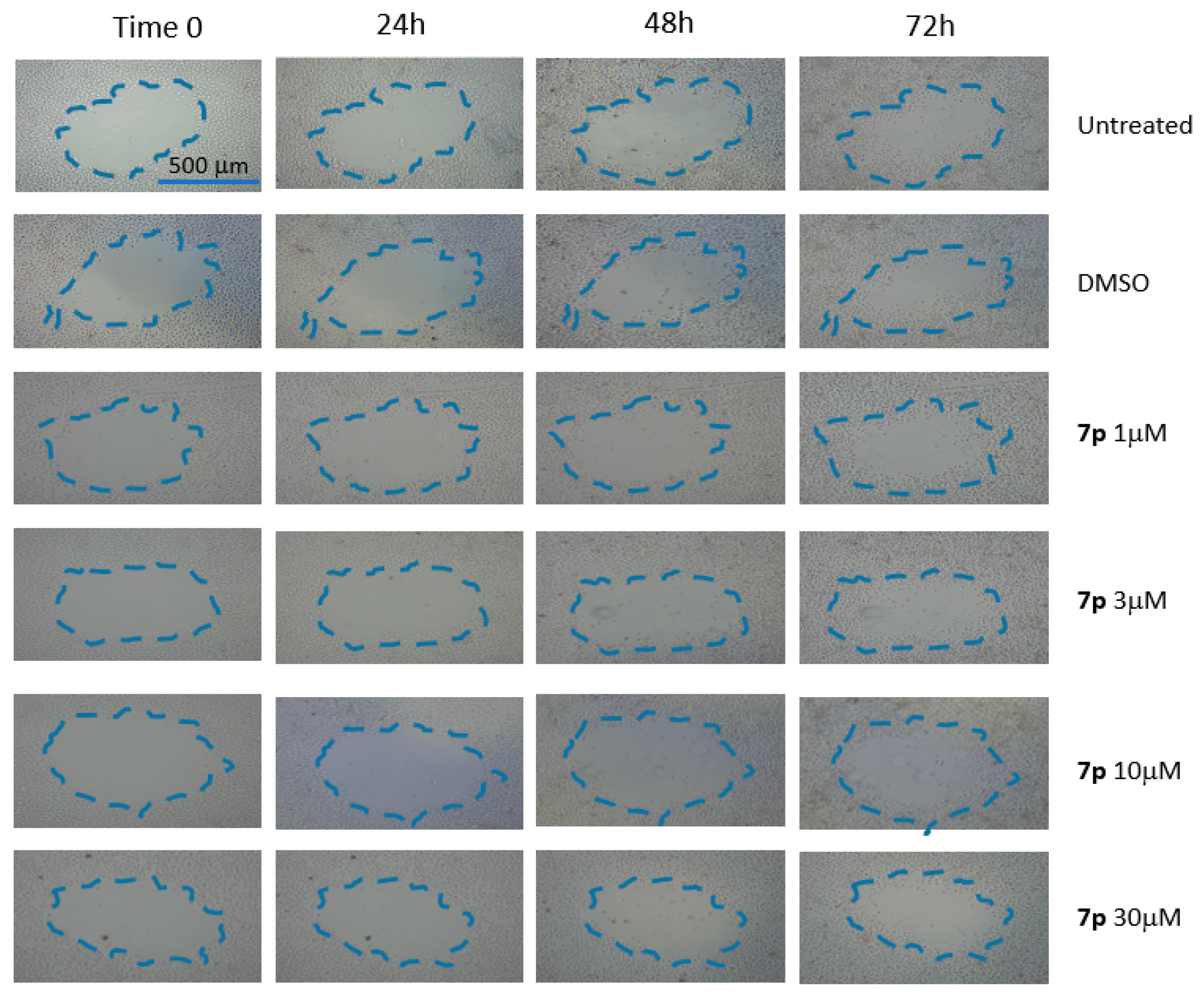 Biomolecules 15 01718 g005