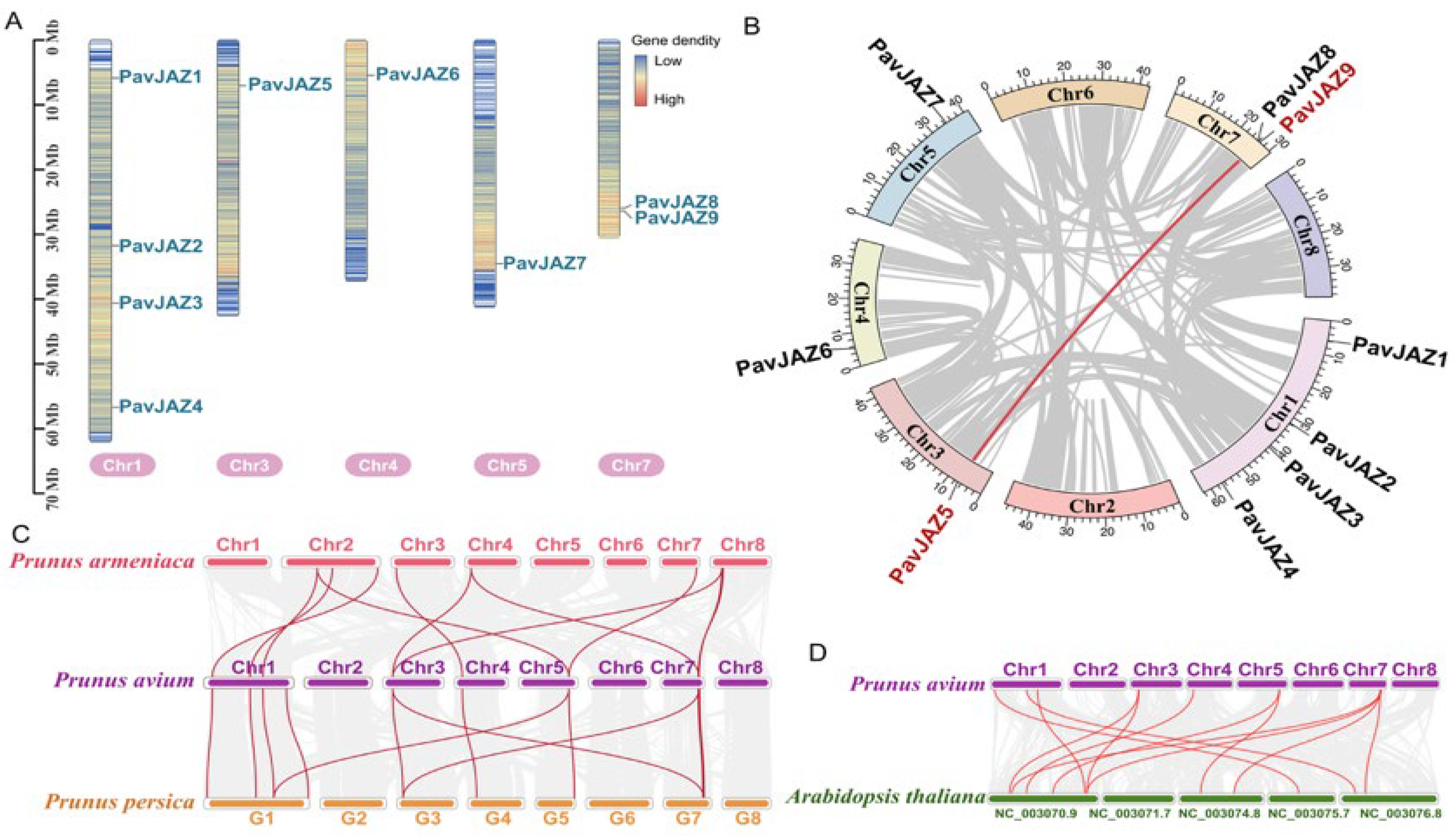 Biomolecules 15 01721 g001 Biomolecules 15 01721 g001