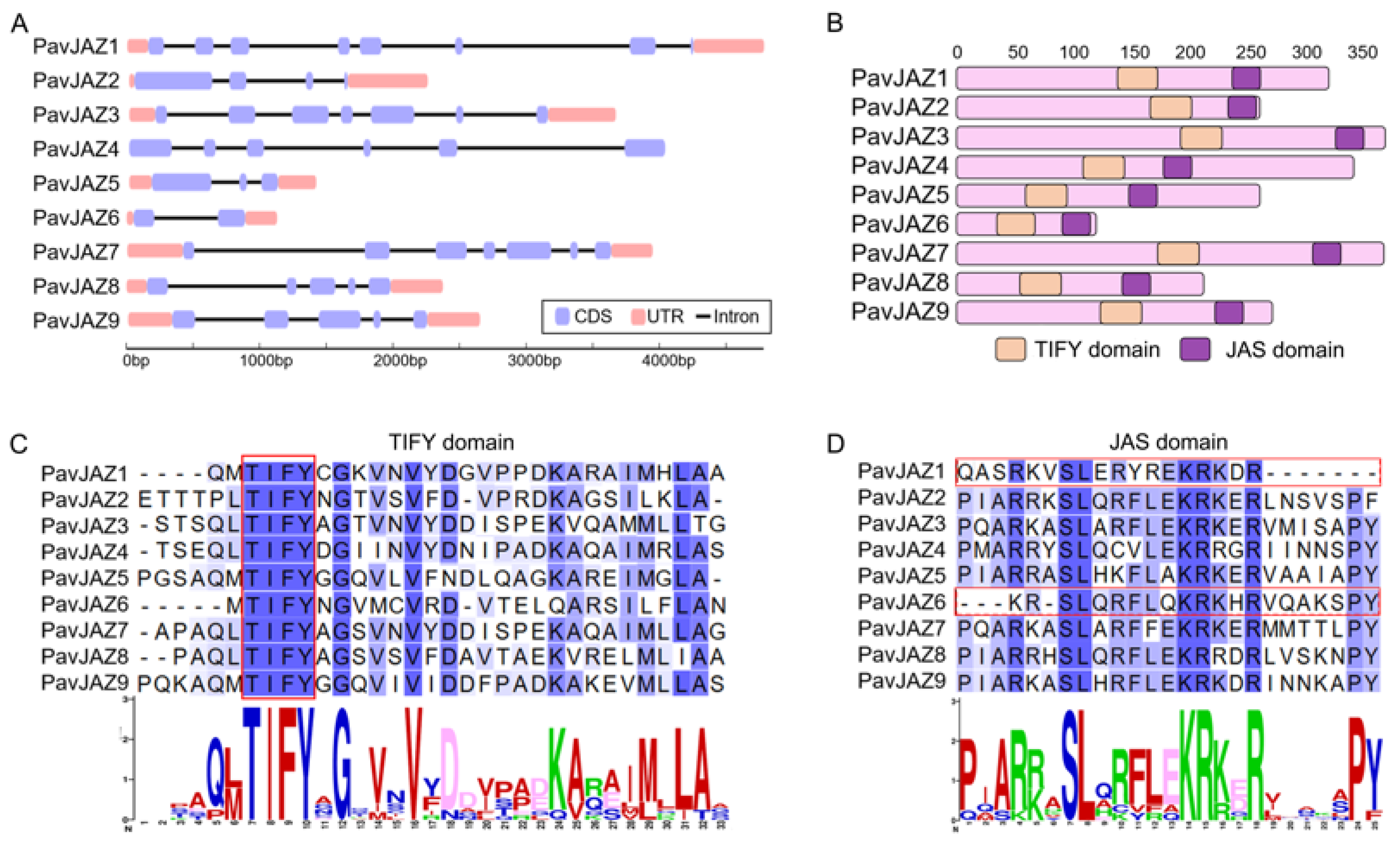 Biomolecules 15 01721 g003 Biomolecules 15 01721 g003