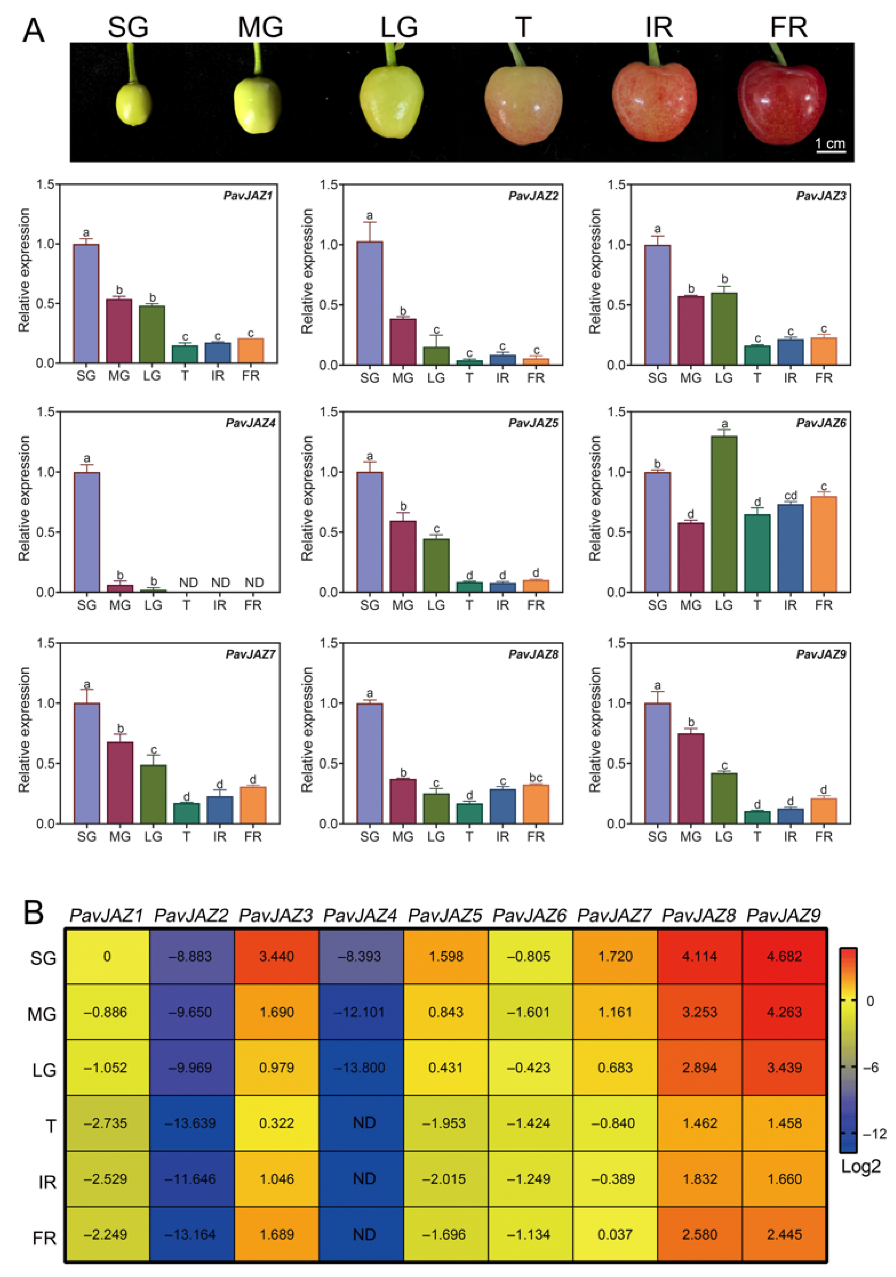 Biomolecules 15 01721 g004 Biomolecules 15 01721 g004