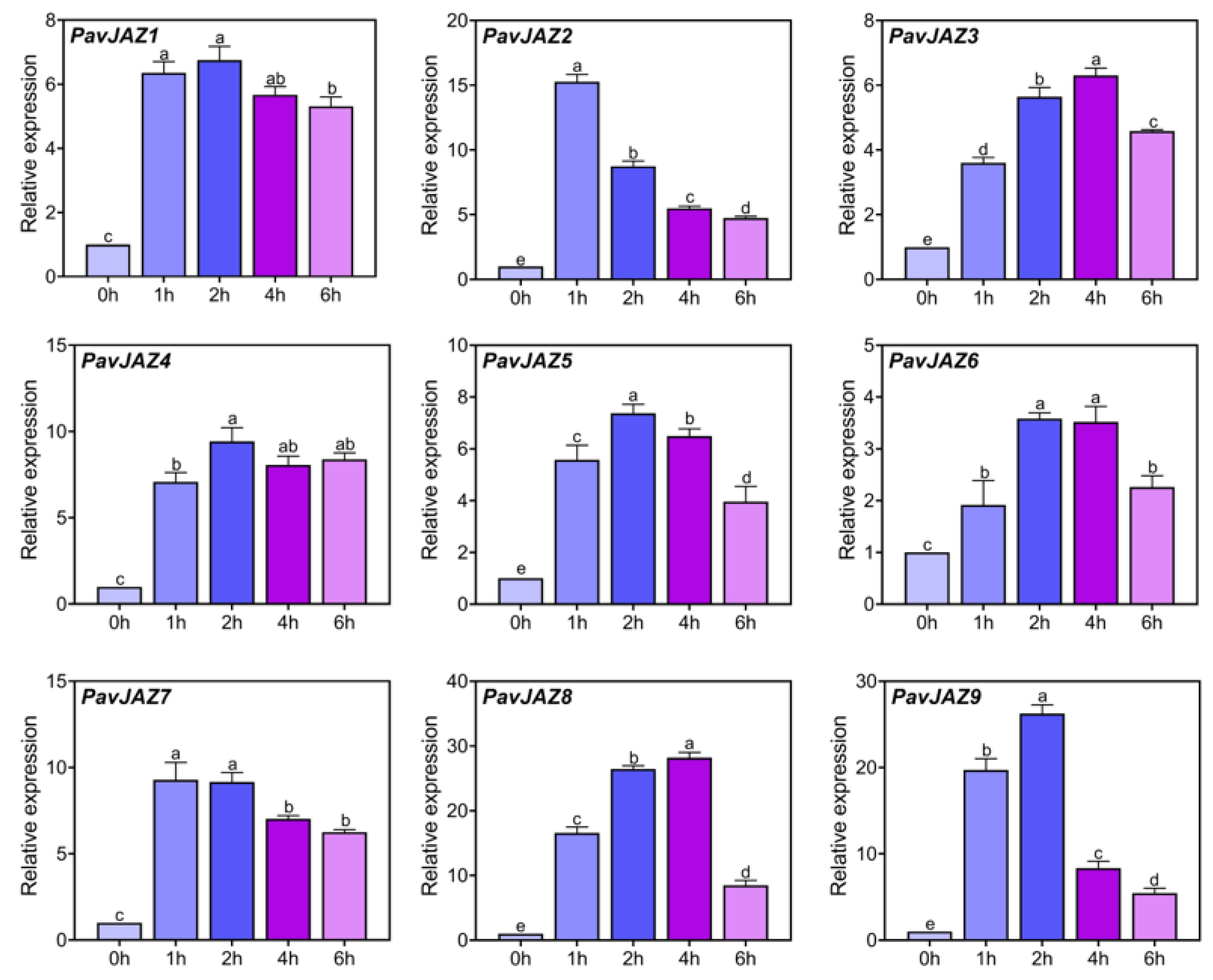 Biomolecules 15 01721 g005 Biomolecules 15 01721 g005