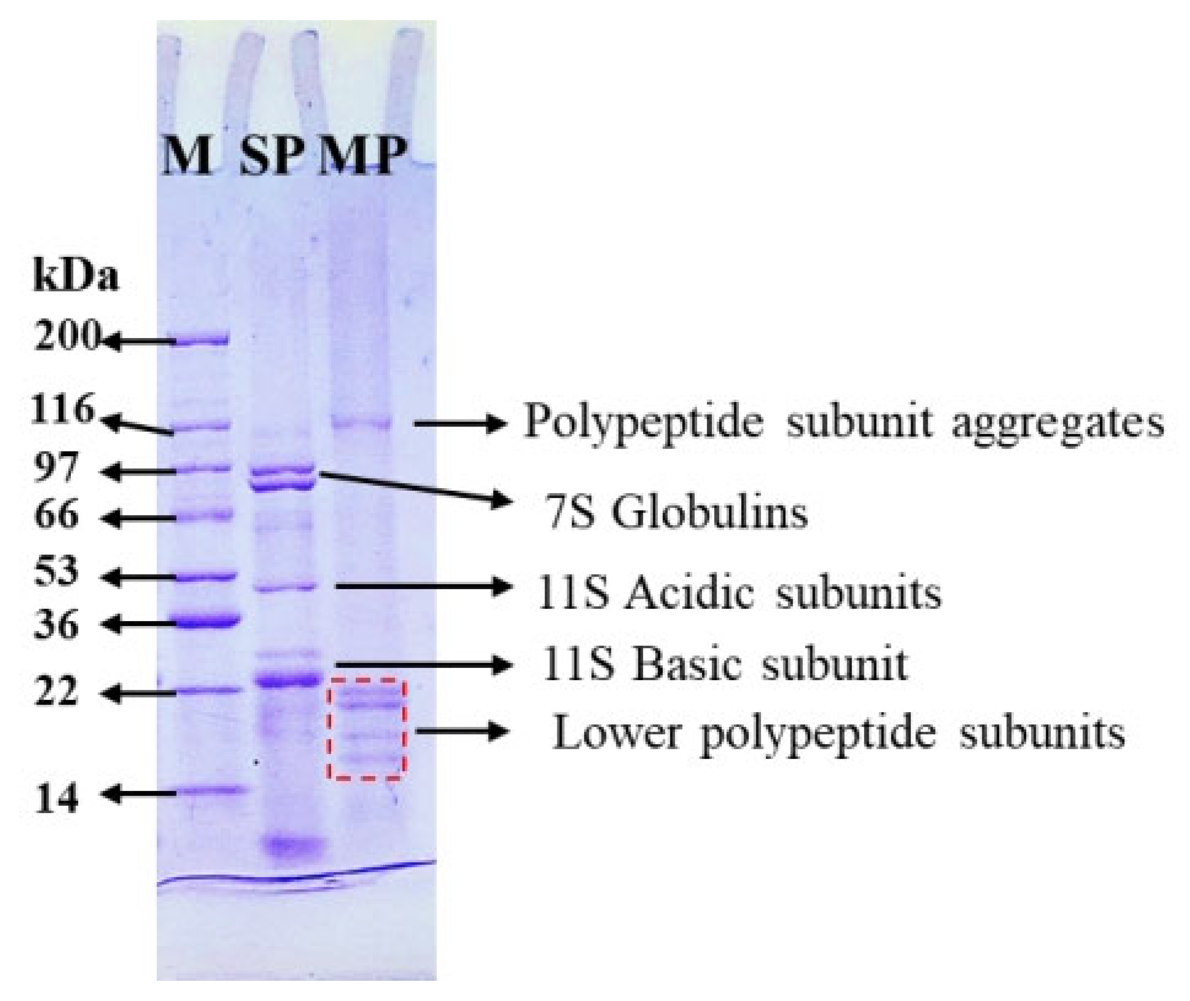 Biomolecules 15 01722 g001 Biomolecules 15 01722 g001