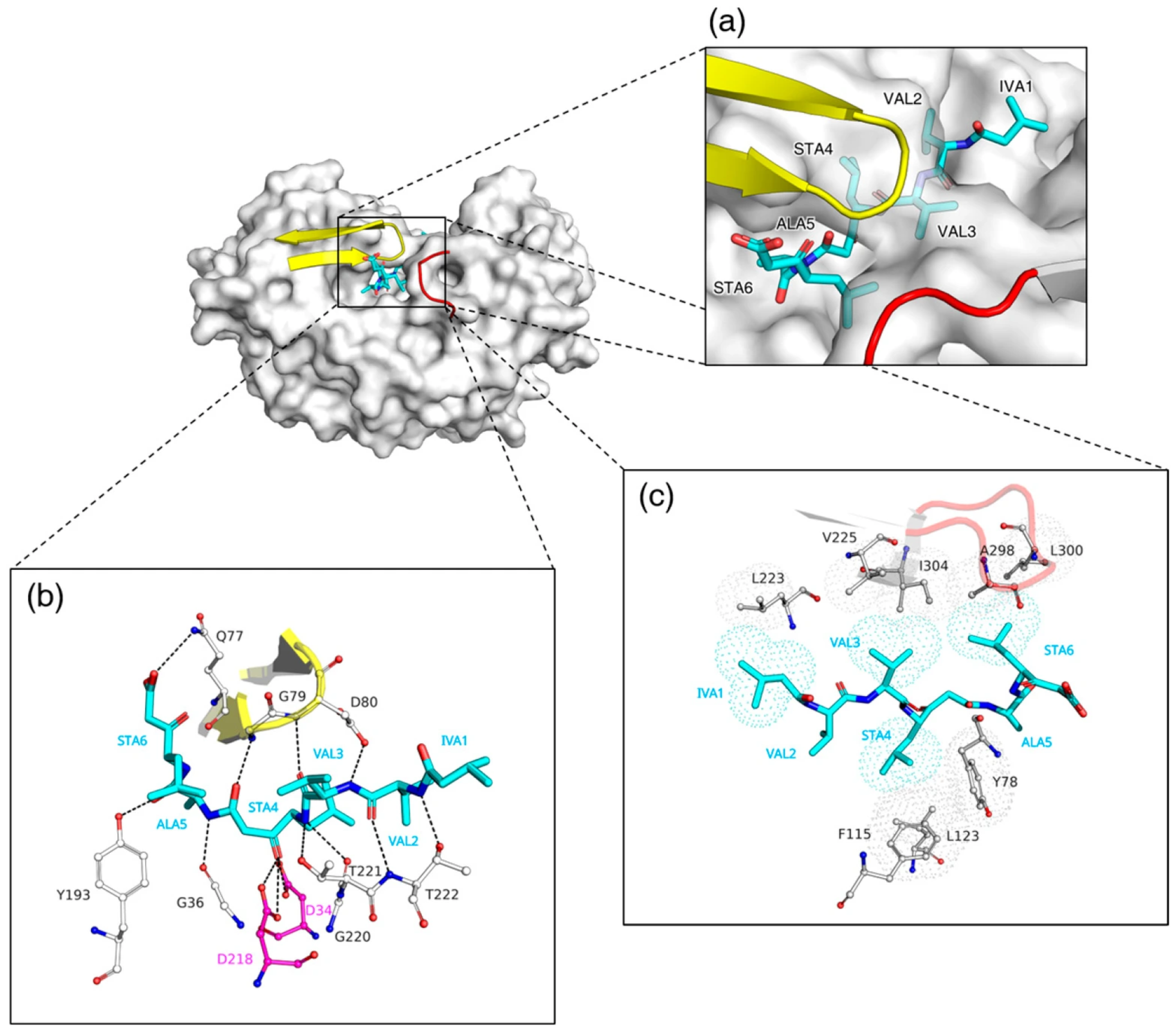 Biomolecules 15 01725 g002 Biomolecules 15 01725 g002