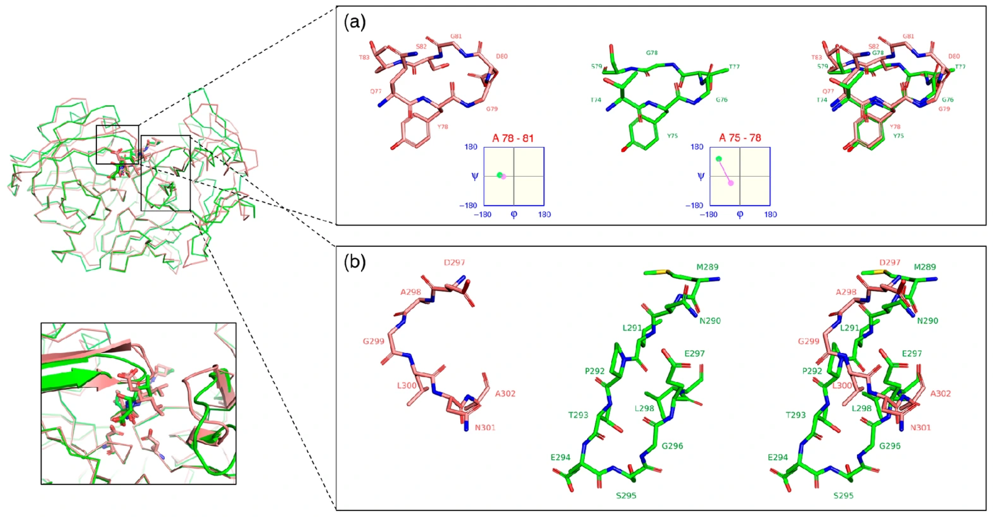 Biomolecules 15 01725 g003 Biomolecules 15 01725 g003