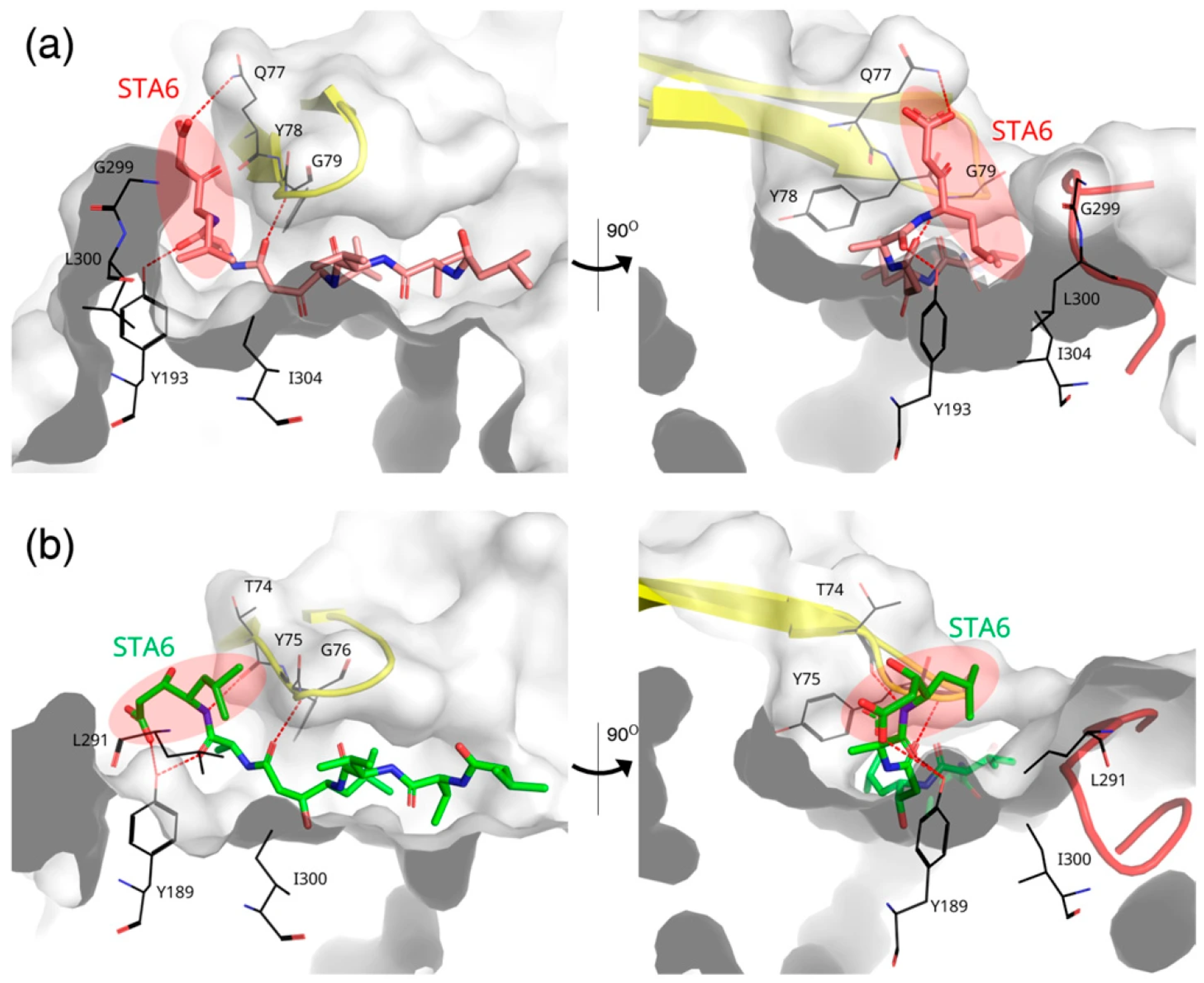 Biomolecules 15 01725 g004 Biomolecules 15 01725 g004