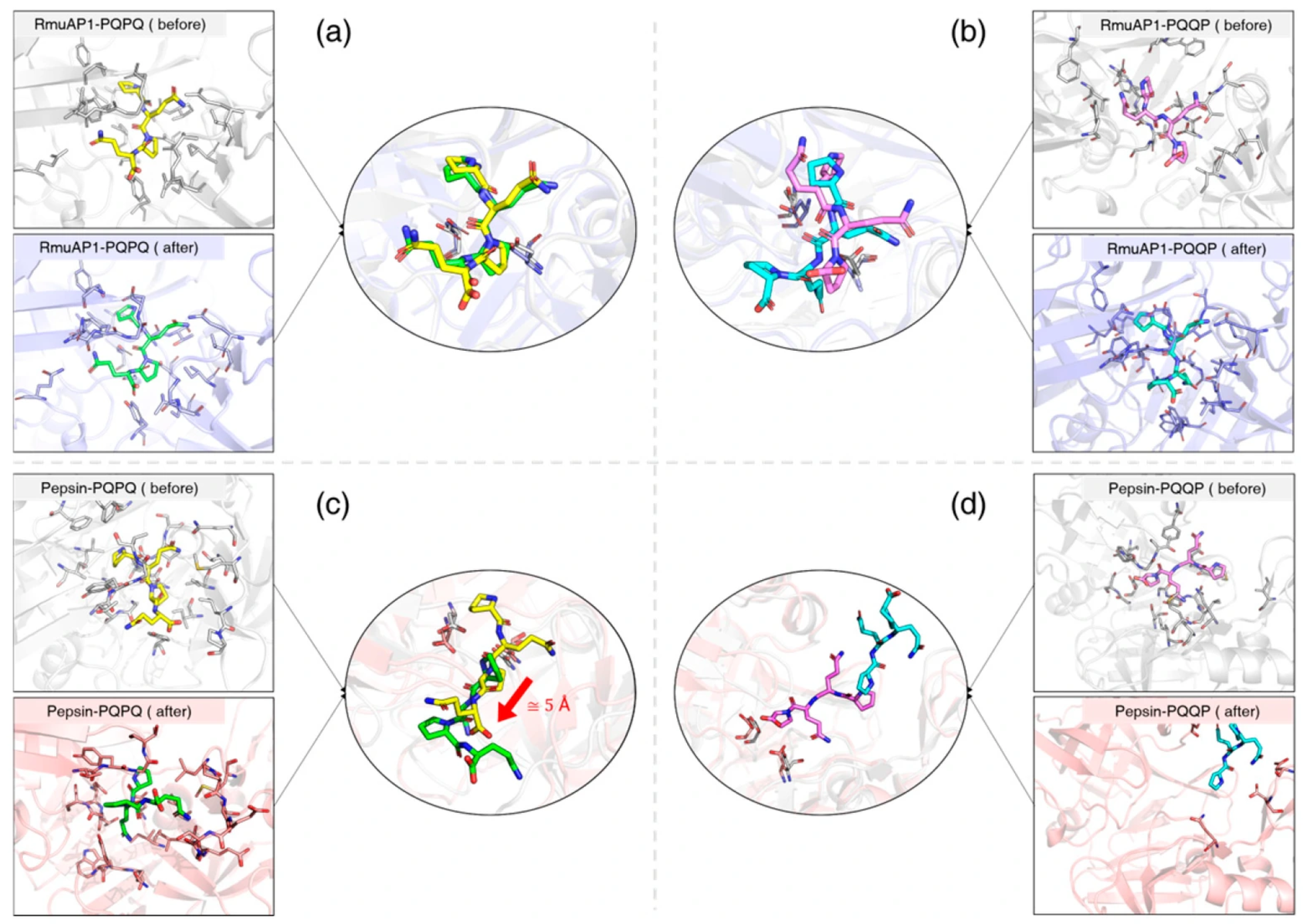Biomolecules 15 01725 g005 Biomolecules 15 01725 g005