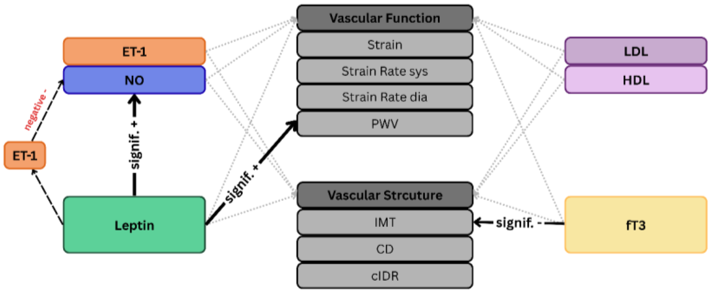 Biomolecules 15 01726 g002