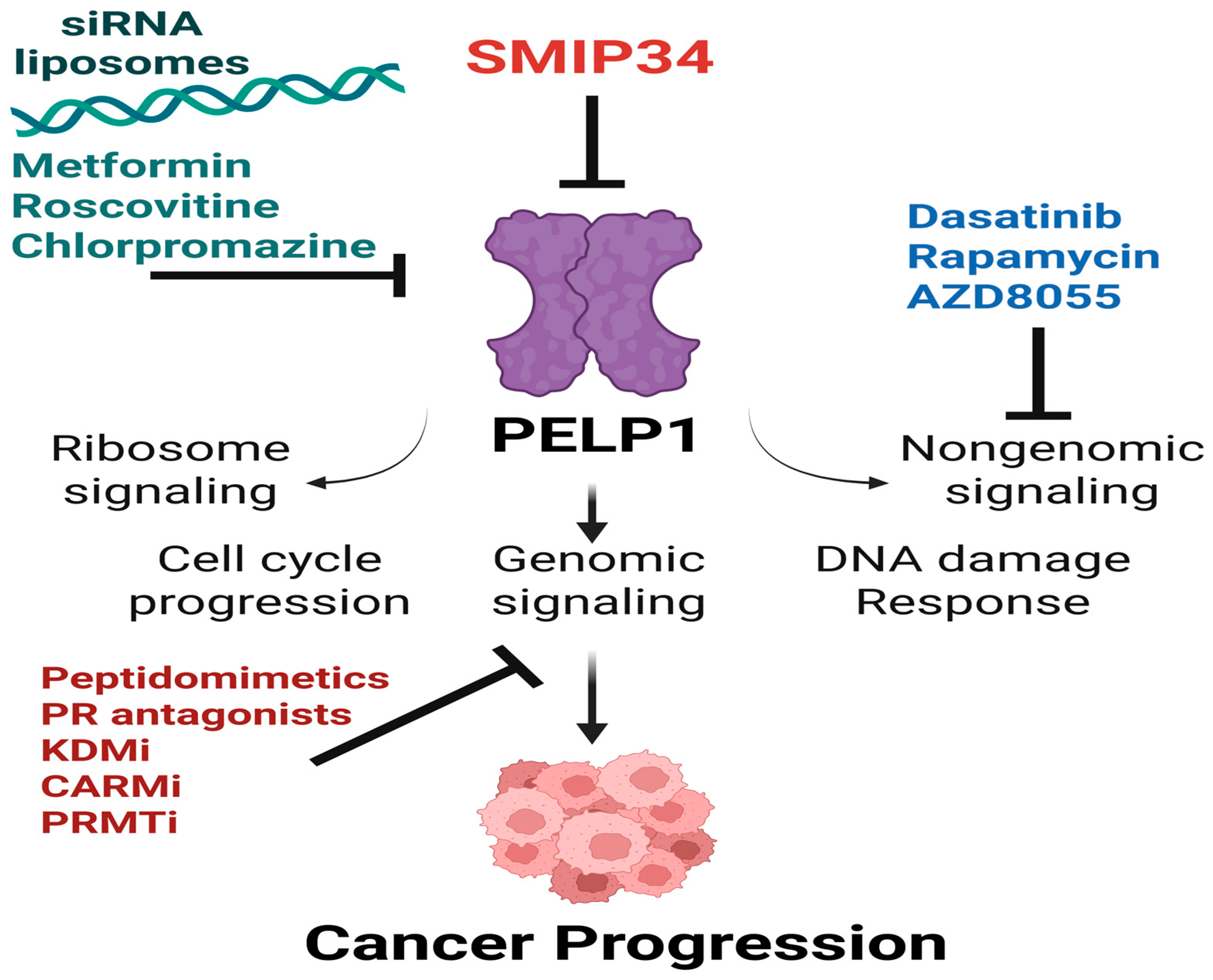 Biomolecules 15 01729 g004 Biomolecules 15 01729 g004