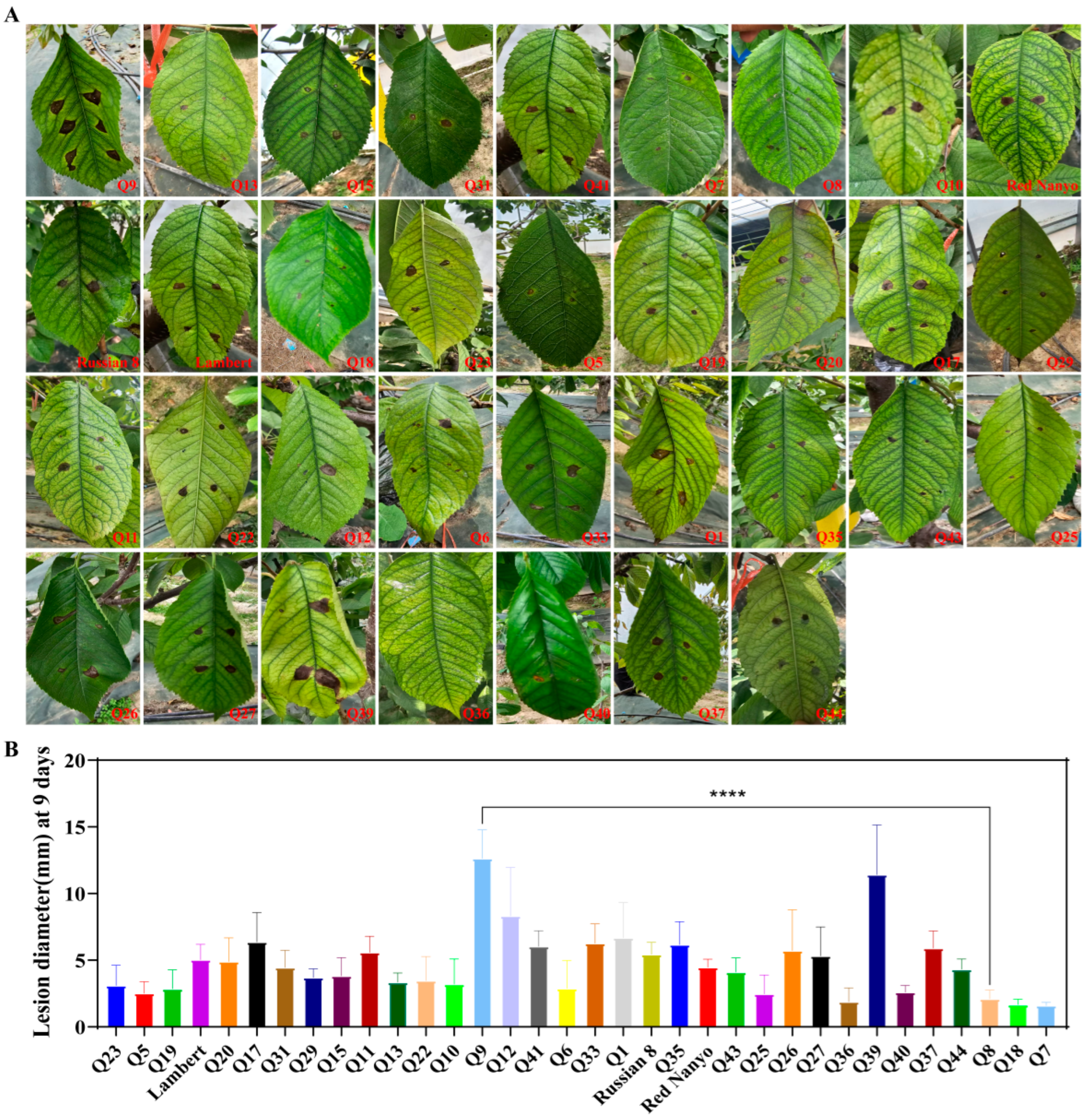 Biomolecules 15 01730 g001 Biomolecules 15 01730 g001