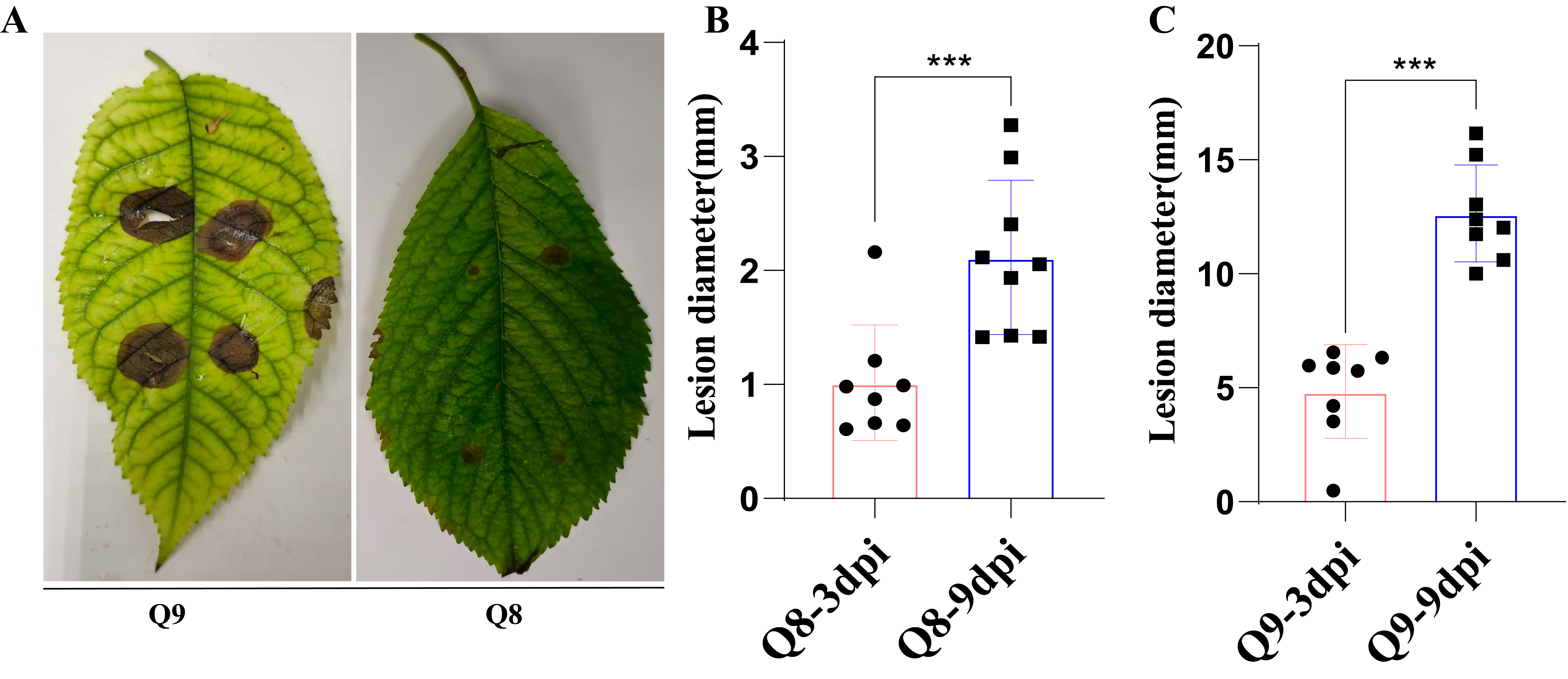 Biomolecules 15 01730 g002 Biomolecules 15 01730 g002