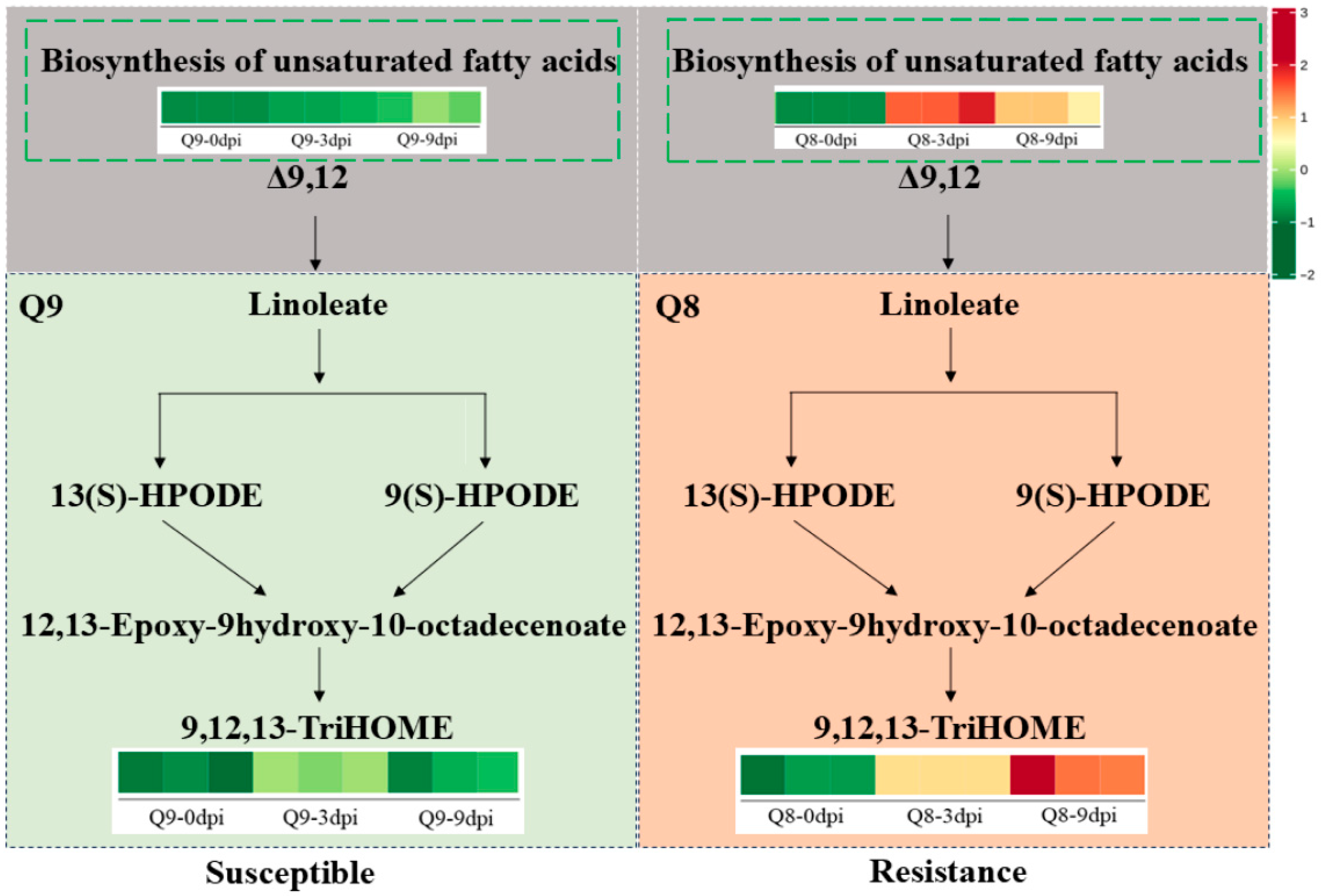 Biomolecules 15 01730 g009 Biomolecules 15 01730 g009